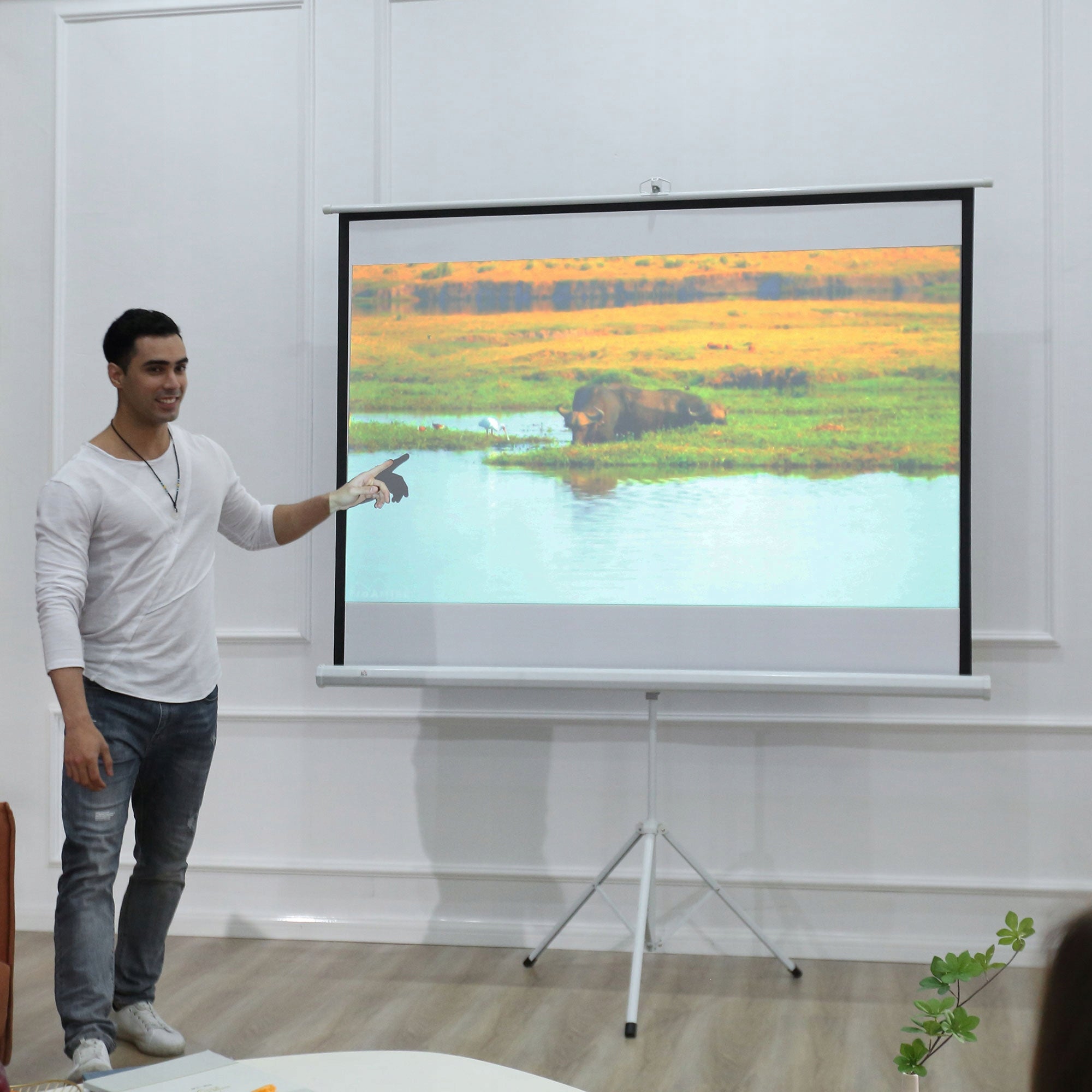 Projection screen HOMCOM 171x131 cm white 4:3, height adjustable Model HOMCOM