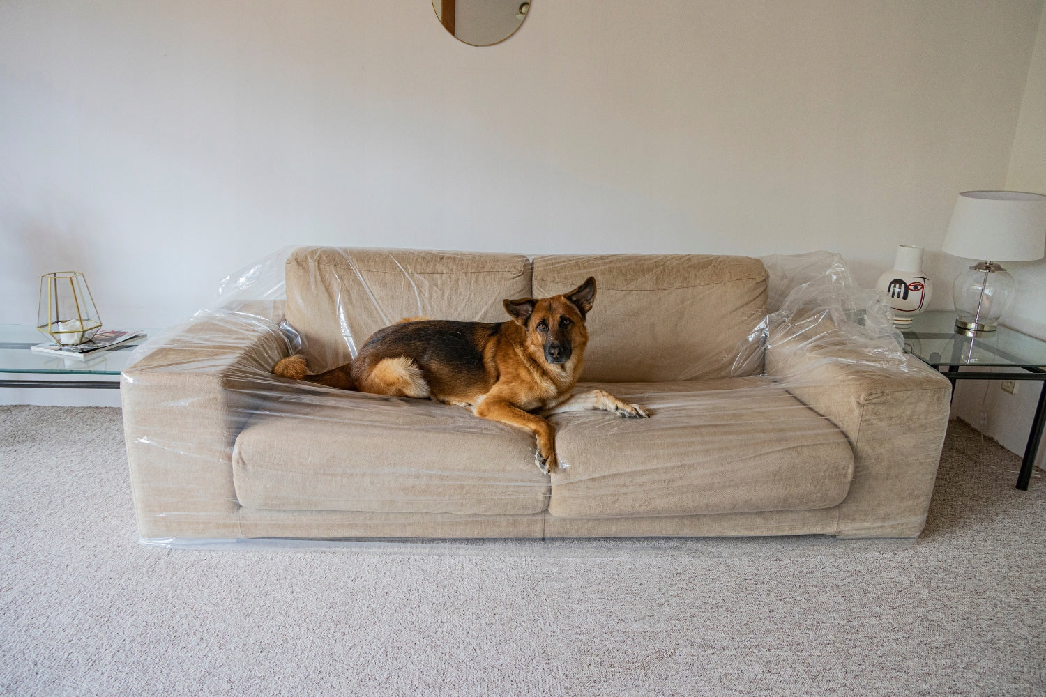 Protective film / 3-seat sofa cover Length 137 cm