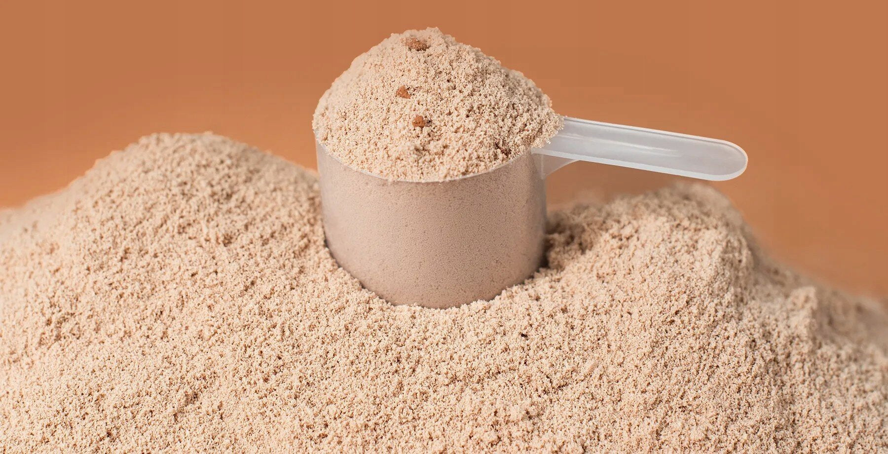 Protein Conditioner VILGAIN Whey Protein Chocolate (1000 g) Sugar Free Expiration date not specified