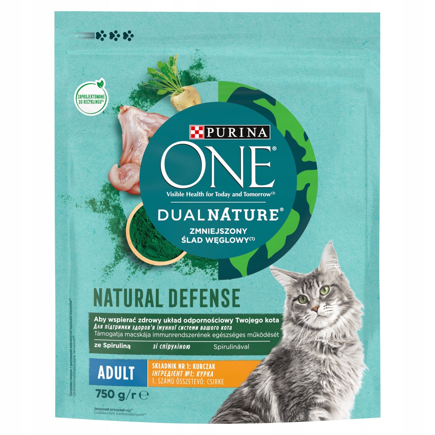 Purina ONE DUAL Adult chicken 750g cat food