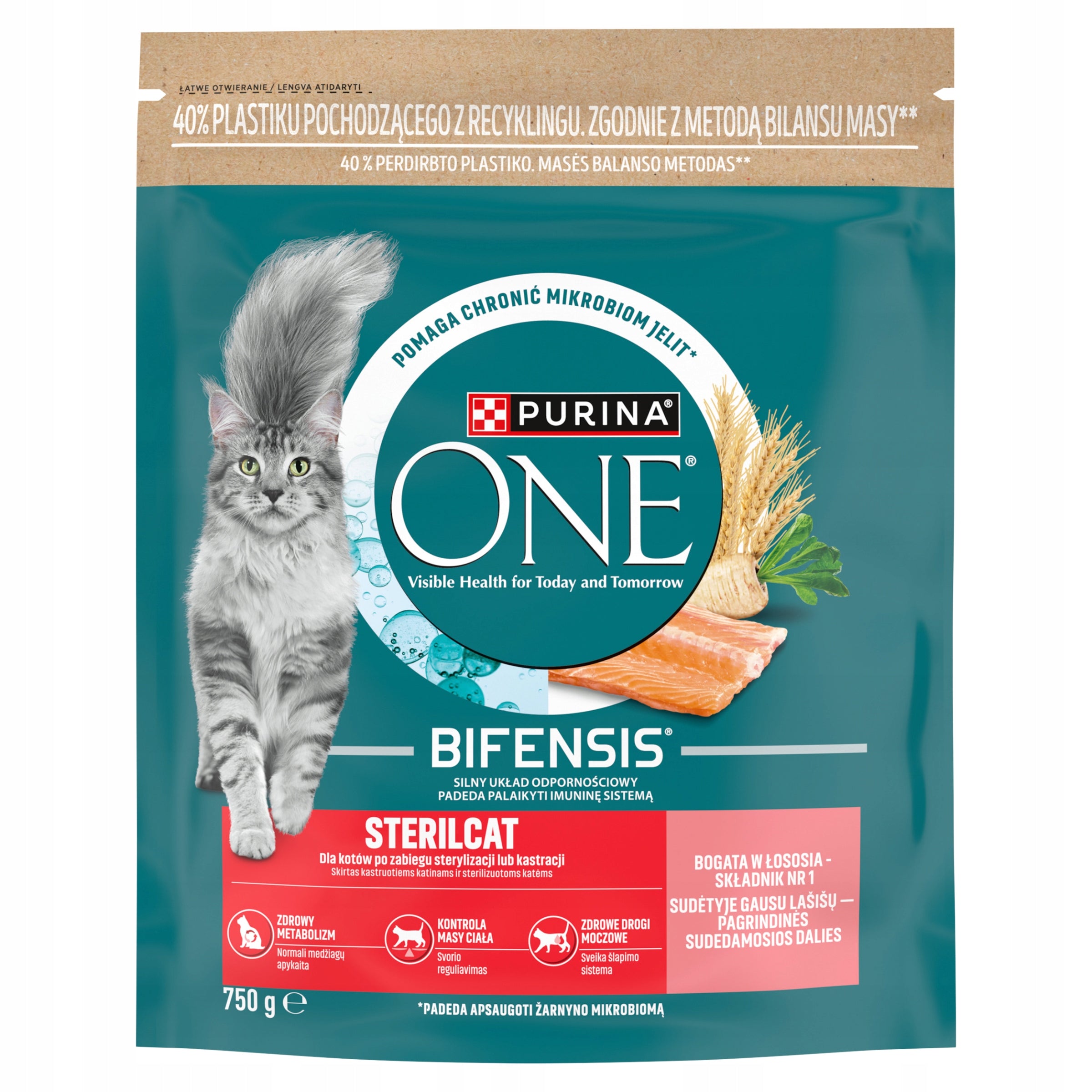 Purina salmon dry food 0,8 kg