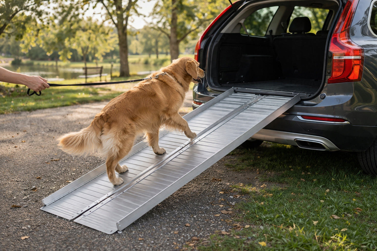 RAMP 120 cm – ALUMINIUM | LIFTING CAPACITY 270 kg | LIGHTWEIGHT MOBILE FOR DOGS Brand Farys
