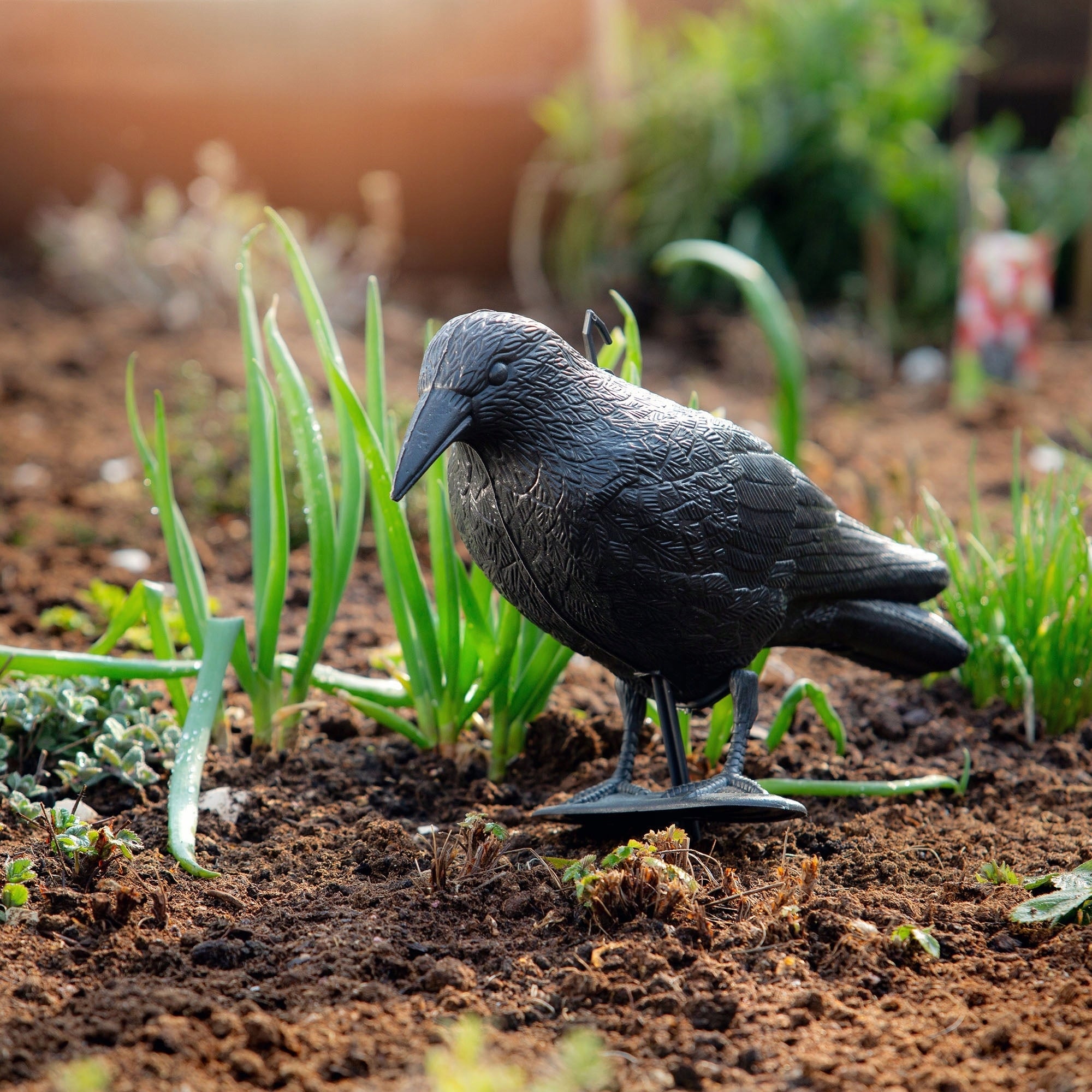 RAVEN BIRD REPELLENT PIGEON STARLINGS LARGE FOR BALCONY PIGEON BIRDS XXL Use Against birds
