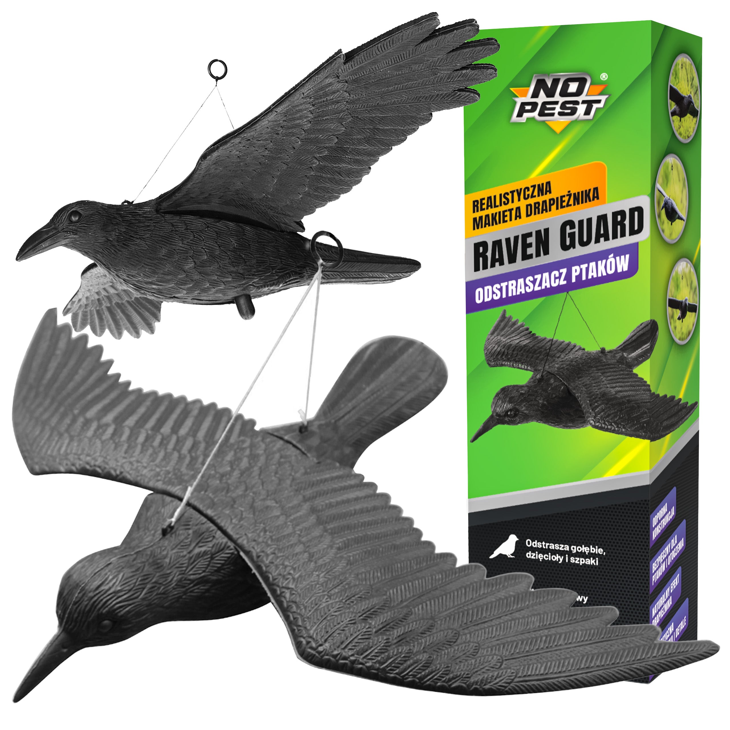 RAVEN IN FLIGHT NO PEST MOCK-UP BIRD RAVEN DETERRENT BIRDS PIGEON STARLINGS