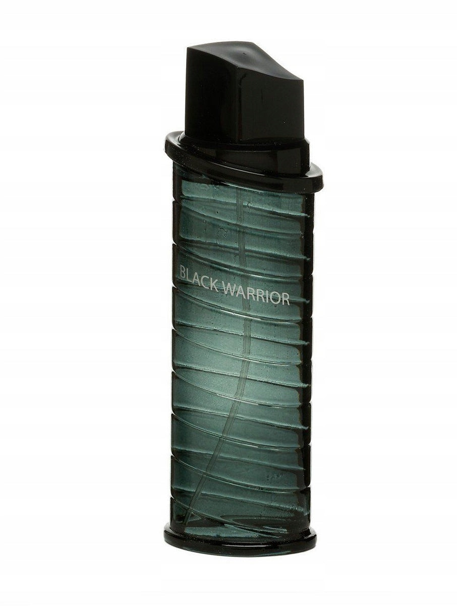 REAL TIME EDT MEN BLACK WARRIOR 100ML EAU DE TOILETTE MEN'S FRESH SCENT Manufacturer code 8715658009566