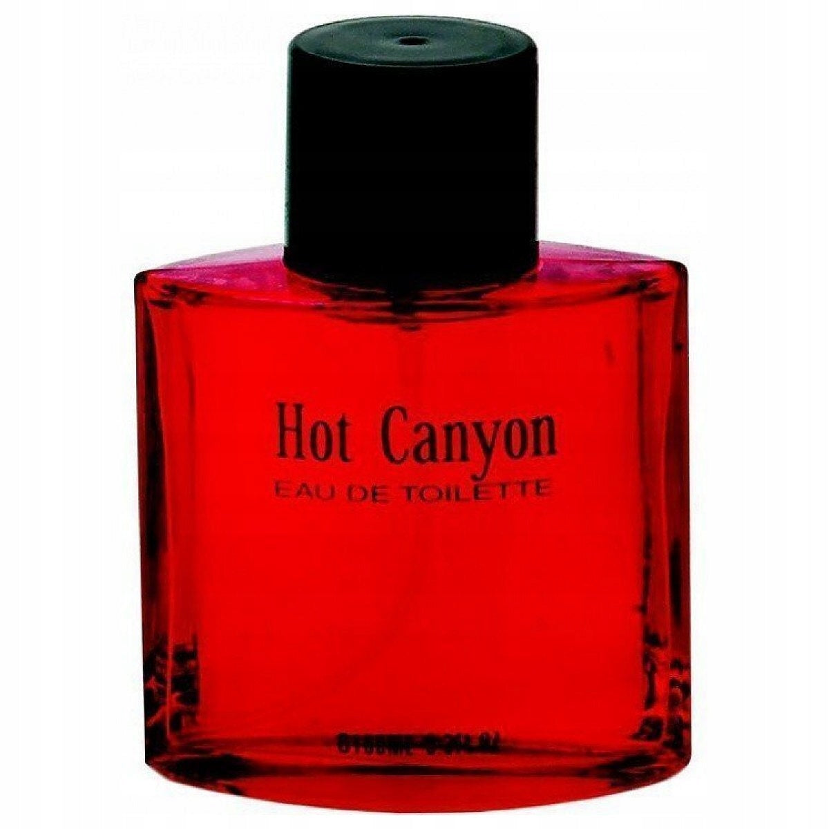 REAL TIME EDT MEN HOT CANYON 100ML EAU DE TOILETTE FOR MODERN MEN Manufacturer code 8715658002789