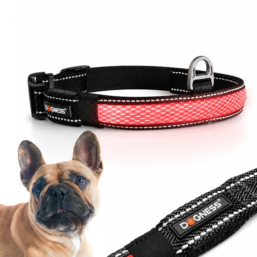 REFLECTIVE COLLAR LED adjustable STRIP solid 31 - 40 cm DOGNESS size S