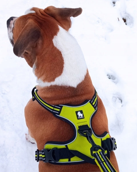 REFLECTIVE Dog Harness Front Line Truelove L Size L