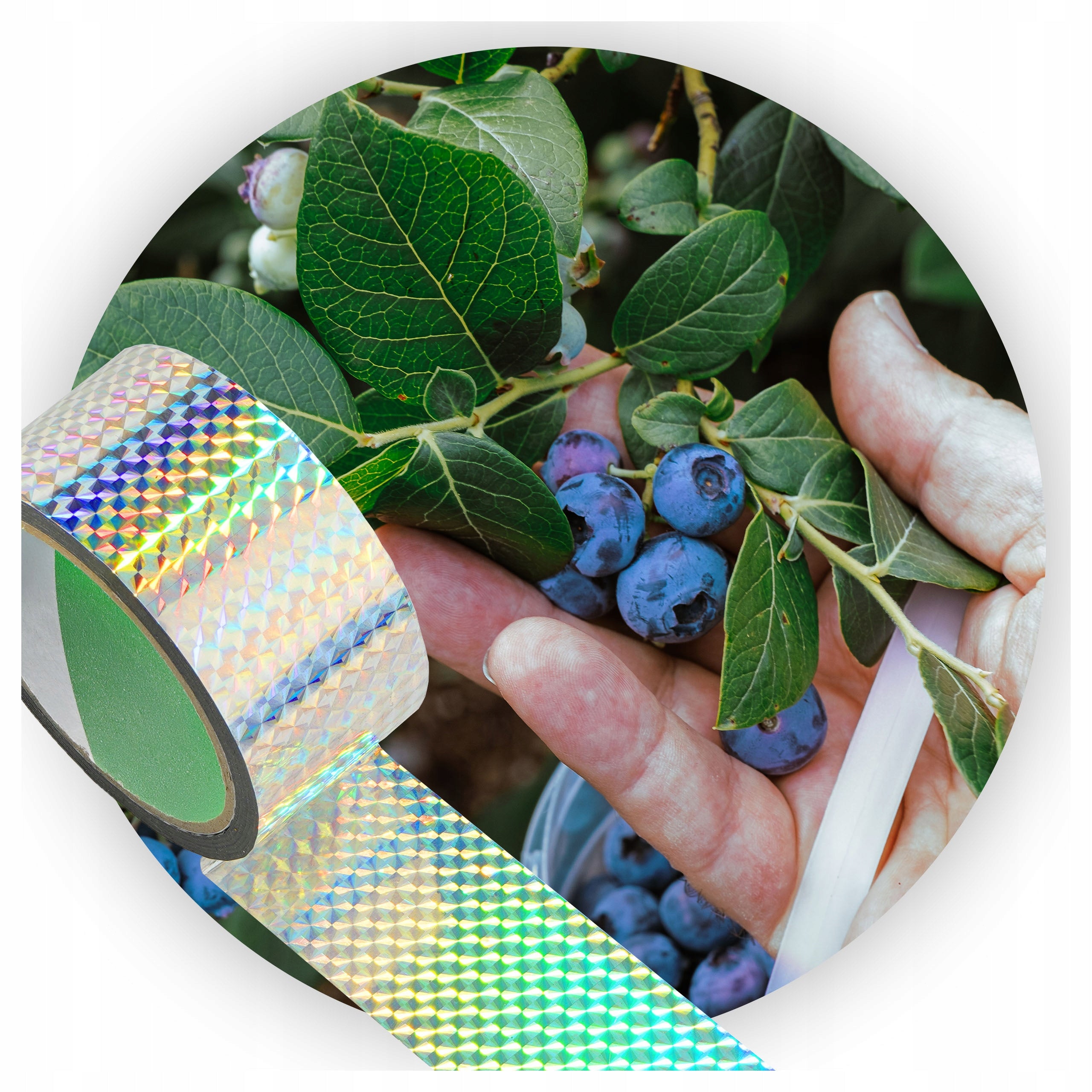 REFLECTIVE TAPE REPELLING PIGEON STARLINGS BIRD CHANTERELLES STARLINGS 50 MB Product weight with unit packaging 0.09 kg