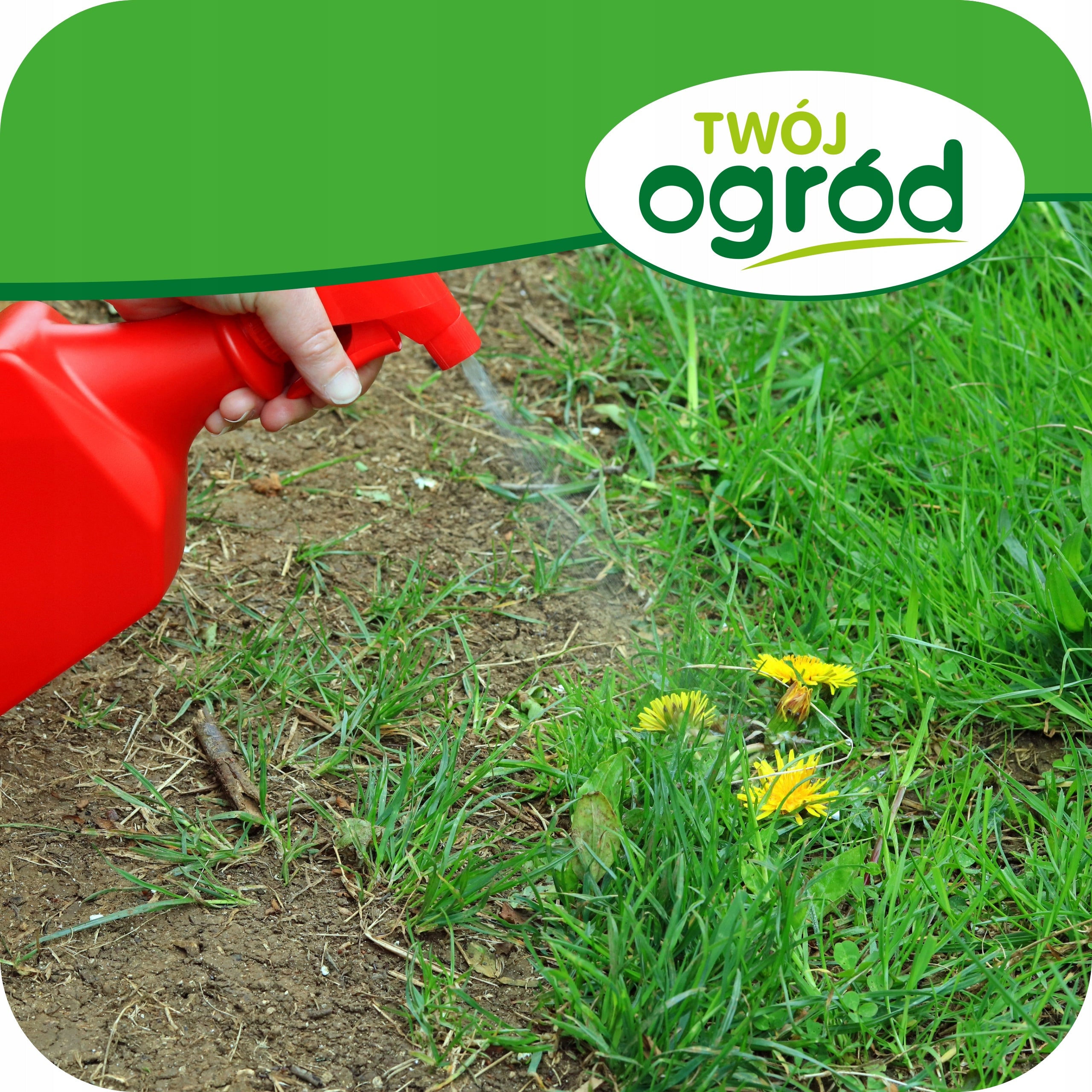 REMEDY FOR ALL WEED SPRAYING TAIFUN HOBBY 360 SL 250ML order Roundup Manufacturer Twój Ogród