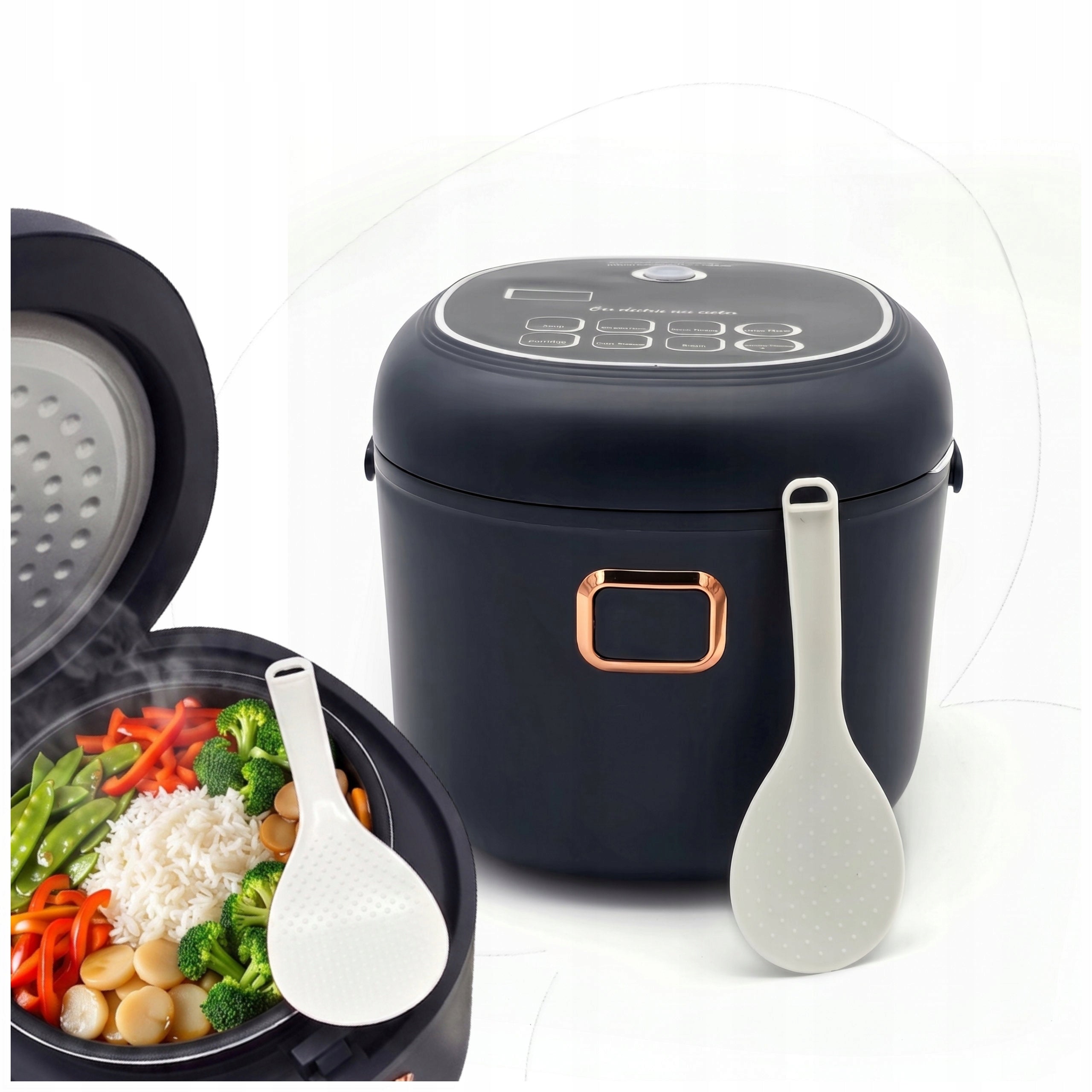 RICE MAKER MULTICOOKER car 2l 200W 12V 24V CAMPING TIR BUS