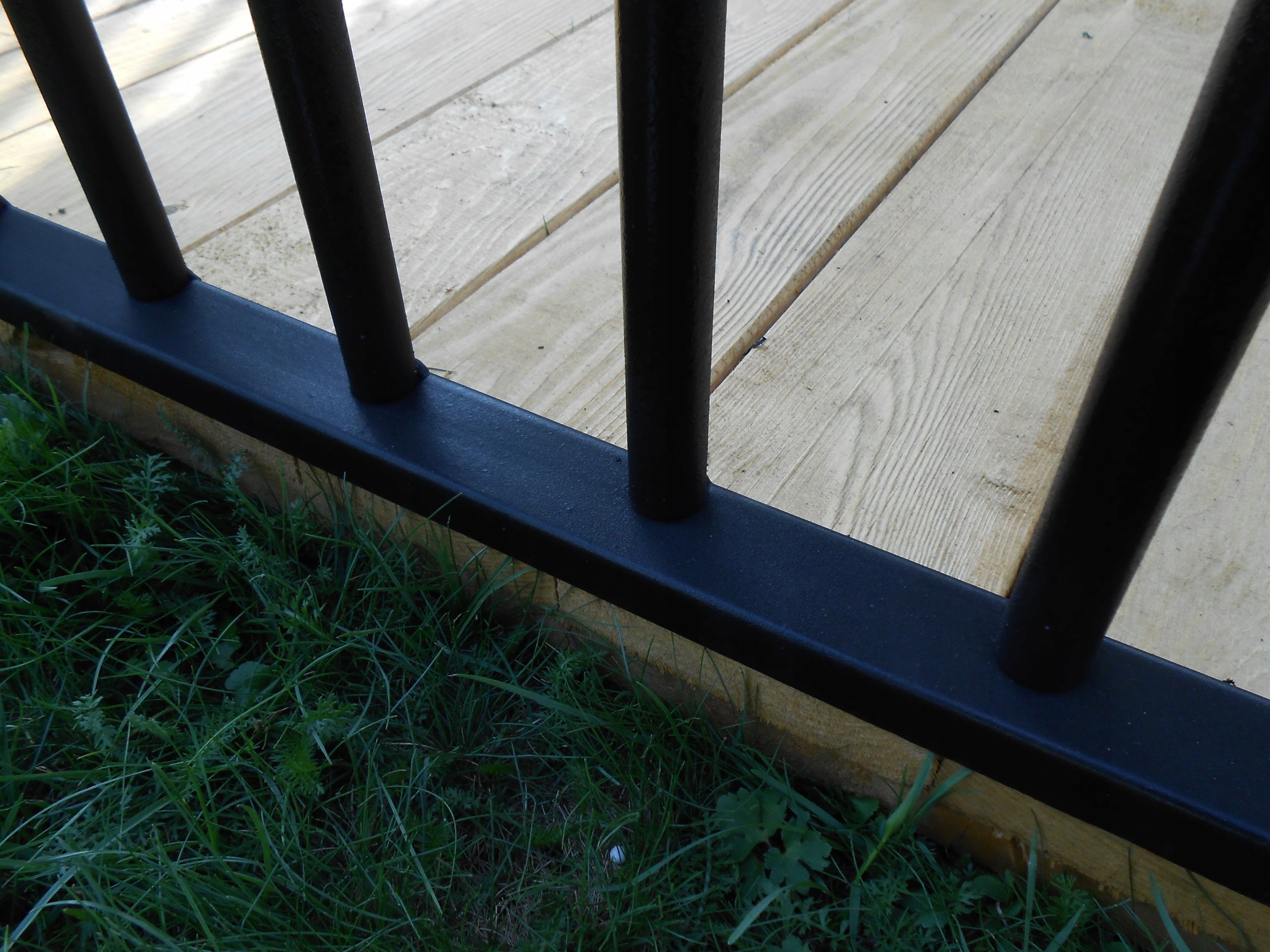 RINGO dog kennel 3x2 dog kennels cage Product width 200 cm
