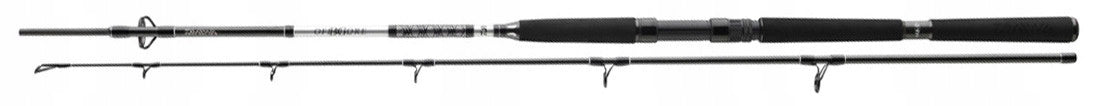 ROD DAIWA BG BOAT 2,10M 150-400G