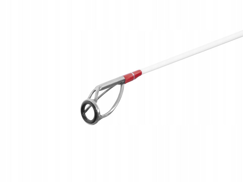ROD DELPHIN FYORD BIGBOAT SEA/SUM 220CM/300-400G/2 COMPOSITIONS Brand Delphin