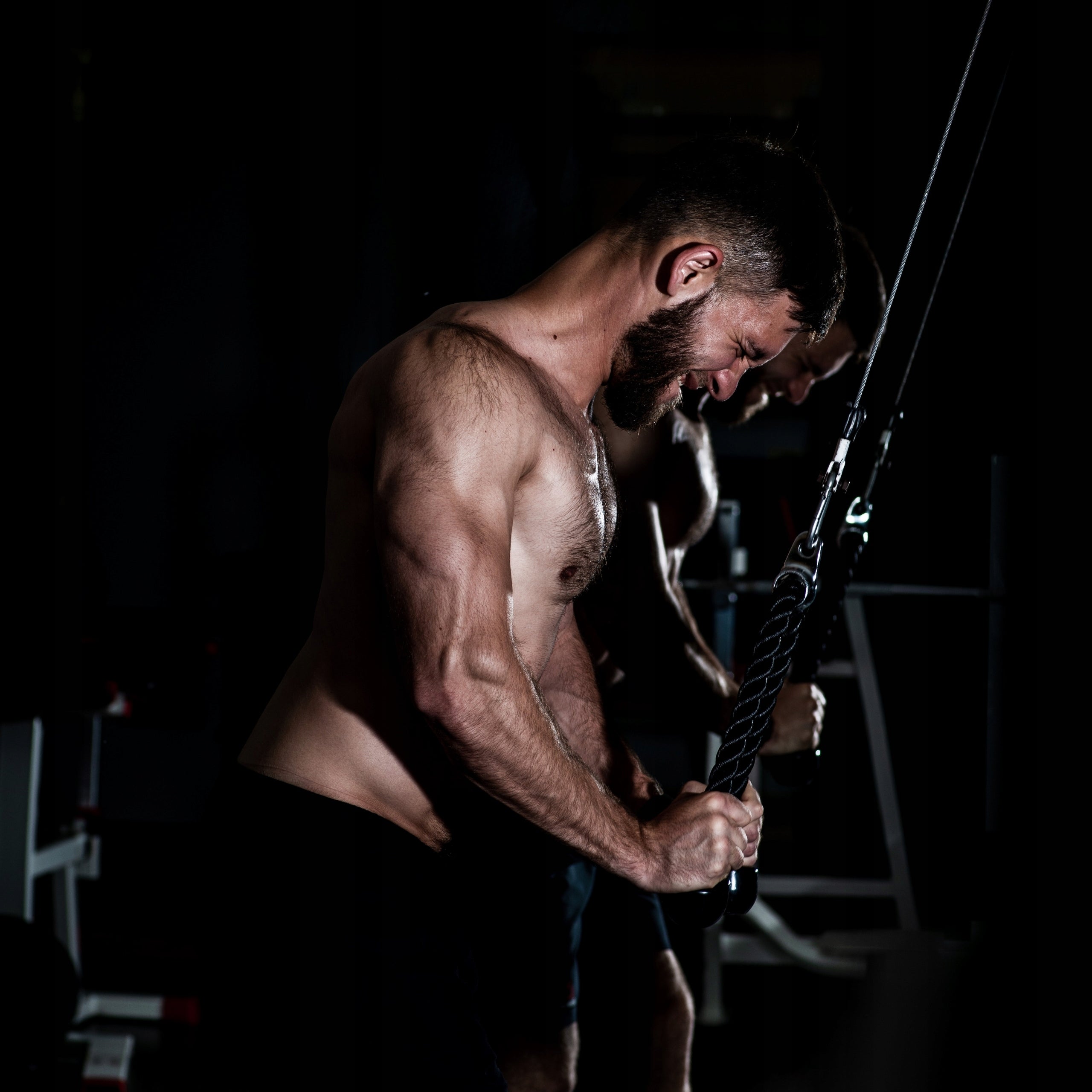 ROPE CORD STRONG HANDLE FOR UPPER LOWER ATLAS LIFT ON TRICEPS POWER Installation method other