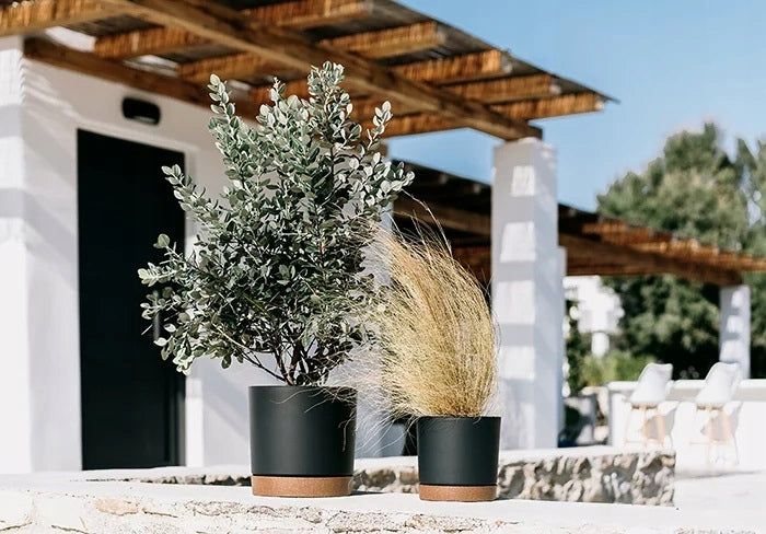 ROUND POT TUBO PM ANTHRACITE COVER WITH STAND IMPRESSIVE FOR PLANTS Brand Martom