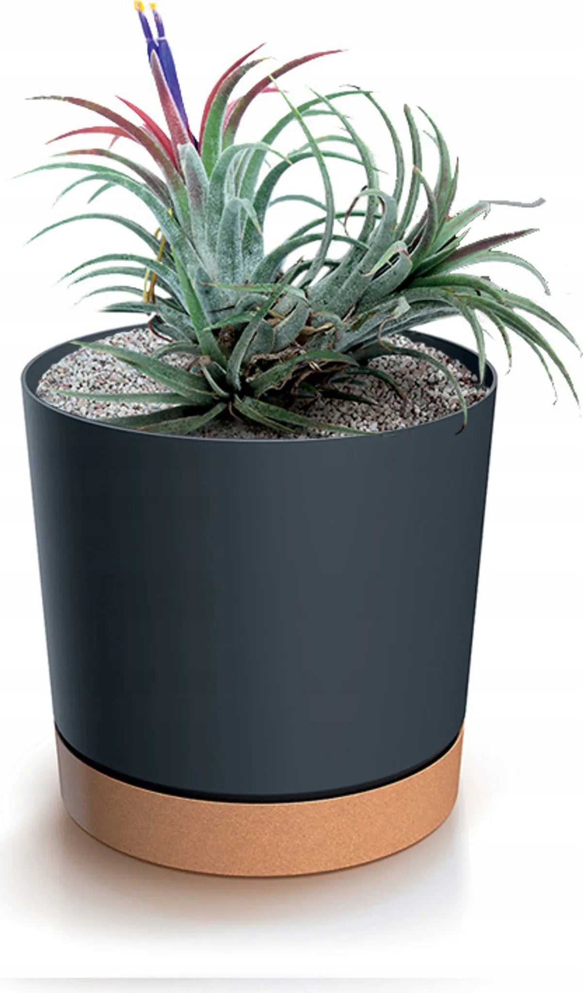 ROUND POT TUBO PM ANTHRACITE COVER WITH STAND IMPRESSIVE FOR PLANTS Packaging status original