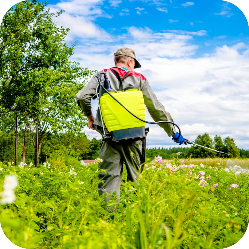 ROUNDUP 360 PLUS 5L RANDAP ON WEEDS GLYPHOSATE REQUIRED CERTIFICATE Form liquid