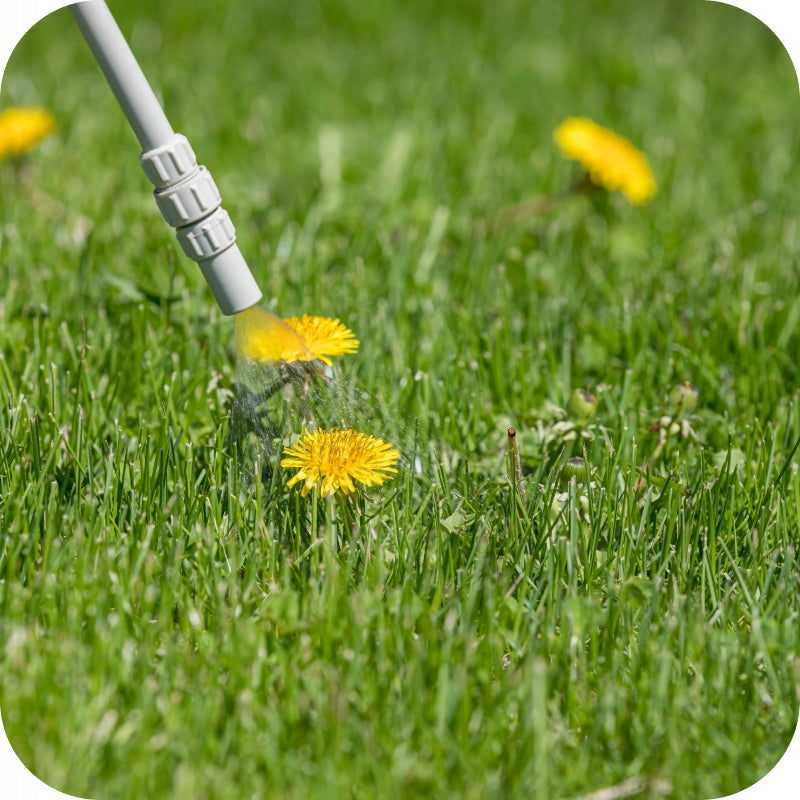 ROUNDUP 360 PLUS 5L RANDAP ON WEEDS GLYPHOSATE REQUIRED CERTIFICATE Weight 5.5 kg