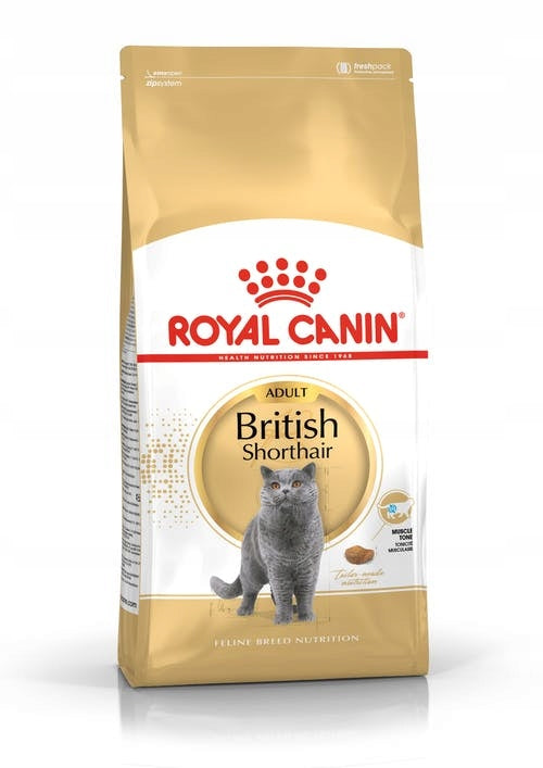 ROYAL CANIN BRITISH SHORTHAIR 4 kg Dry Cat Food
