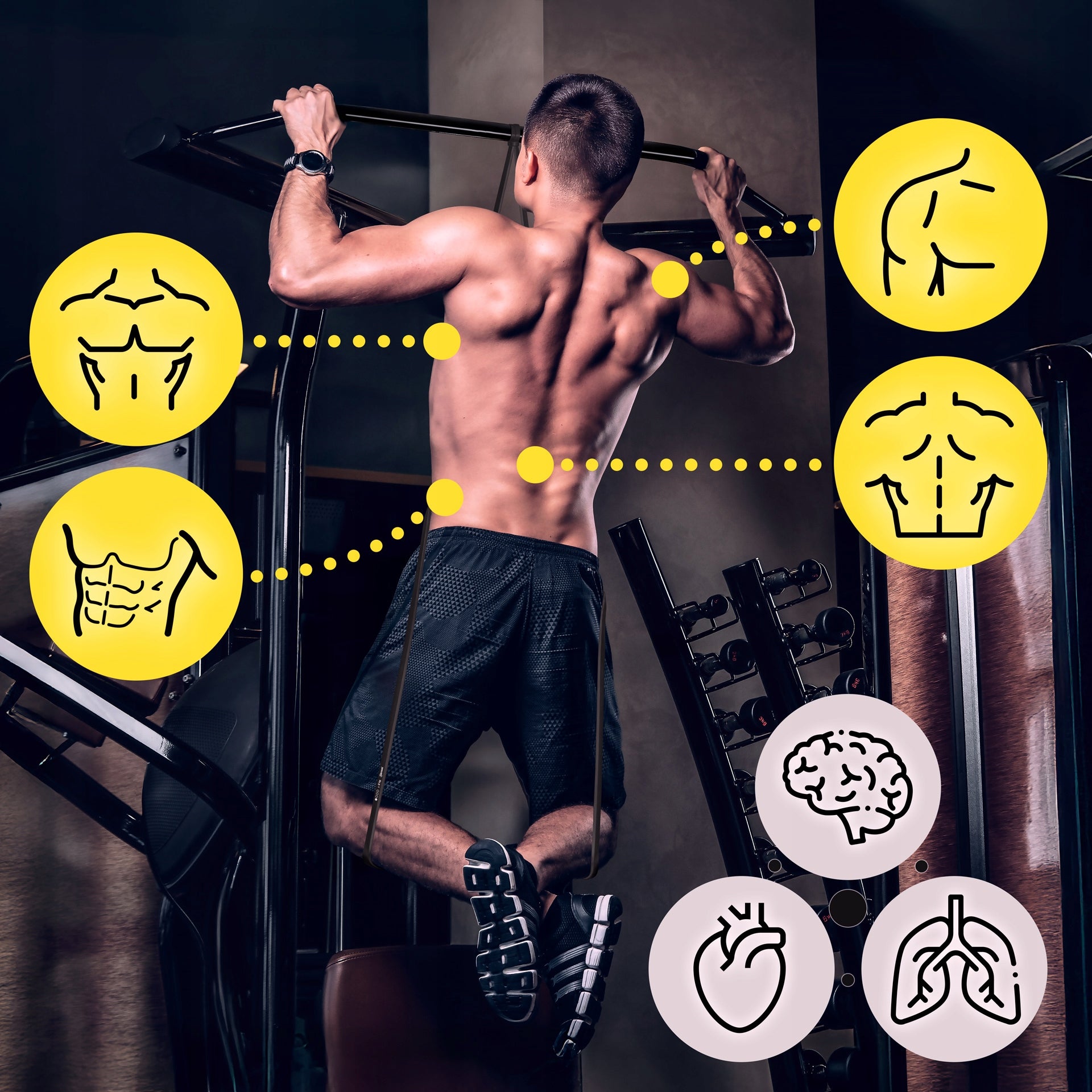 RUBBER POWER BAND 1-8 kg, Resistance Exercise Tape, Pull-up Training Brand Sensei