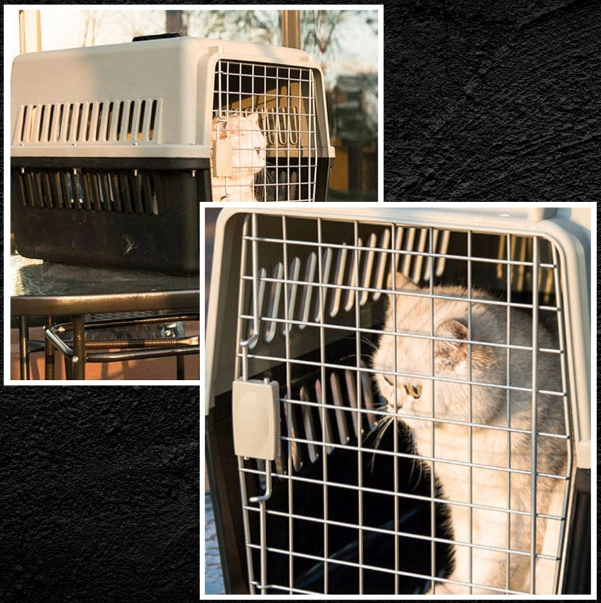 Rabbit Dog Cat Transporter Cage Portable Sturdy Strong + FREEBIE Product depth 30 cm