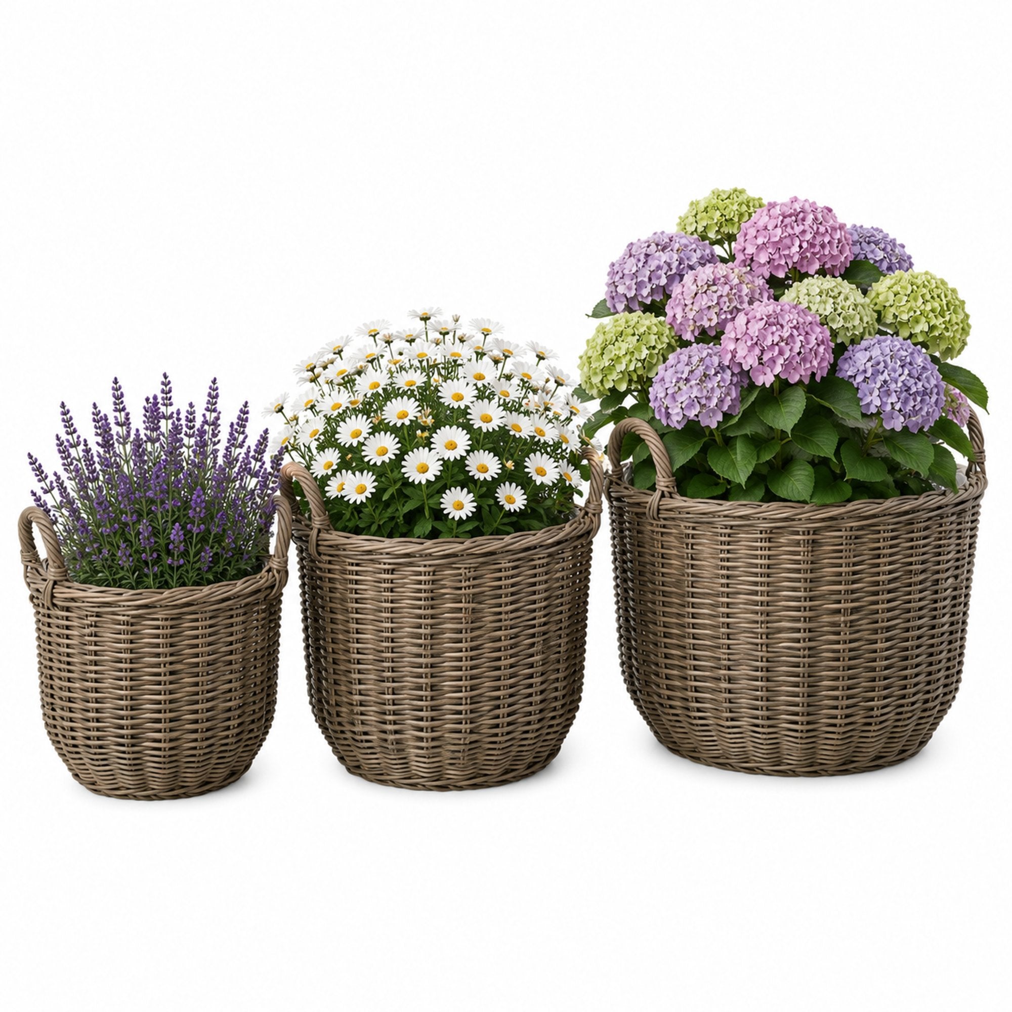 Rattan Baskets 3 Pcs Pot Covers Technorattan Bboho Terrace Balcony