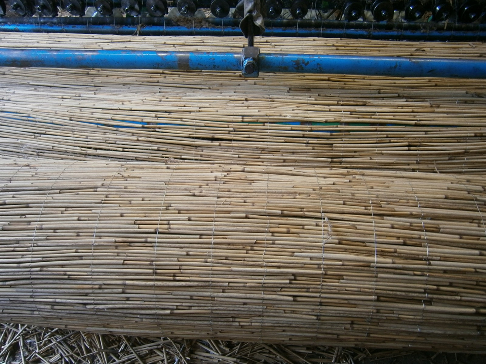 Reed Mats Reed Mat 1,60X600 thick EAN (GTIN) 5906379270707
