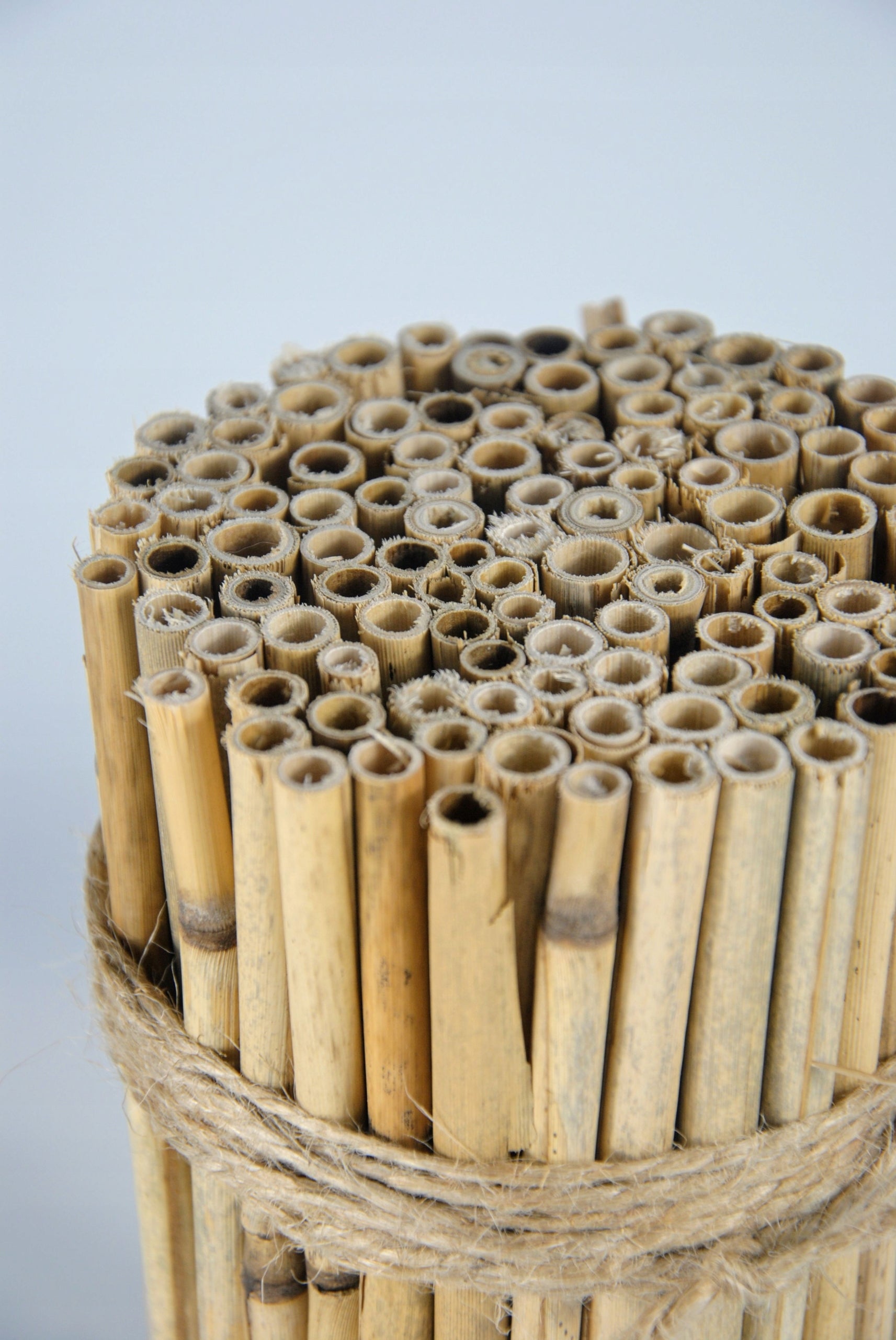 Reed for garden masonry sheave to hang Hotel Insect house Manufacturer no brand