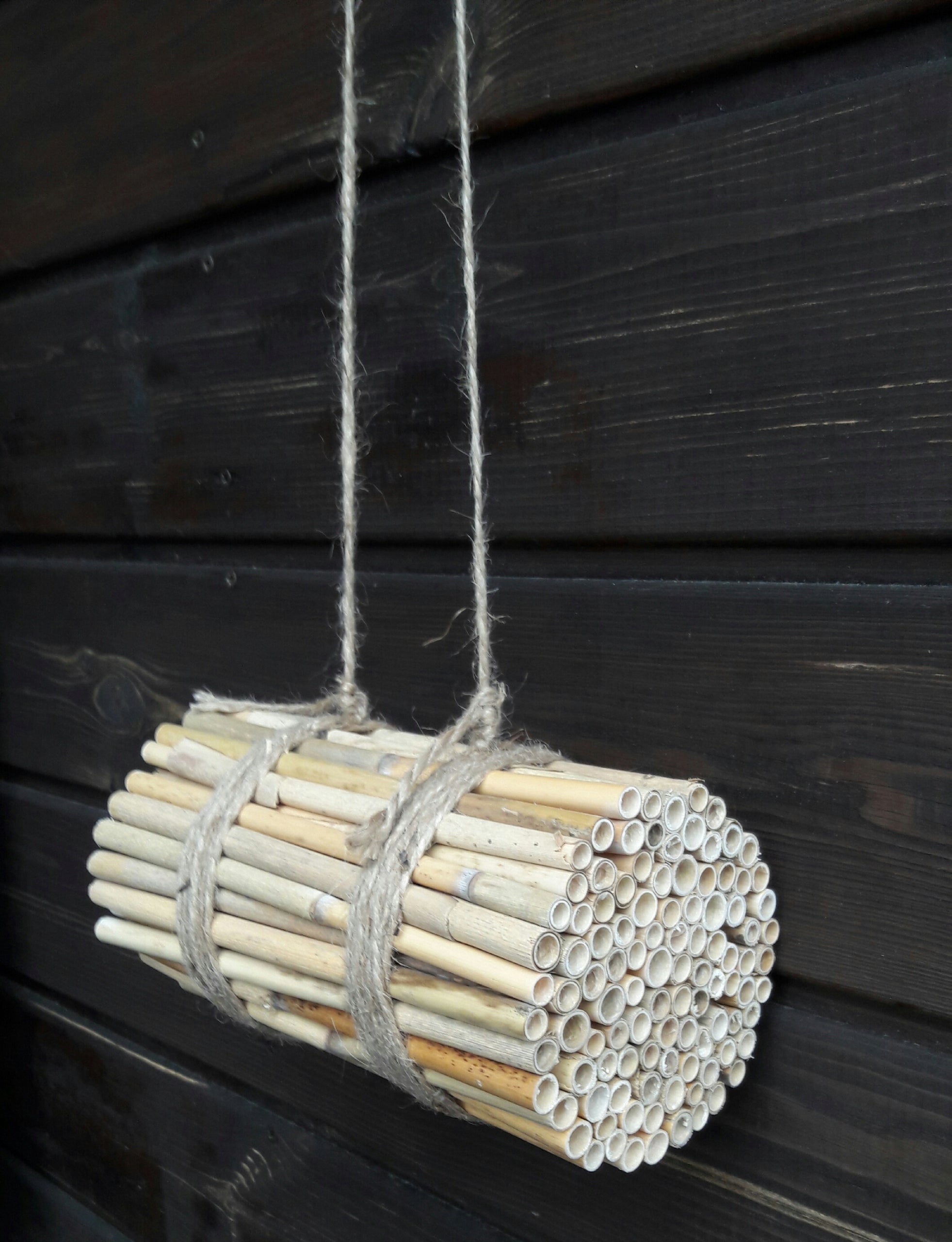 Reed for garden masonry sheave to hang Hotel Insect house
