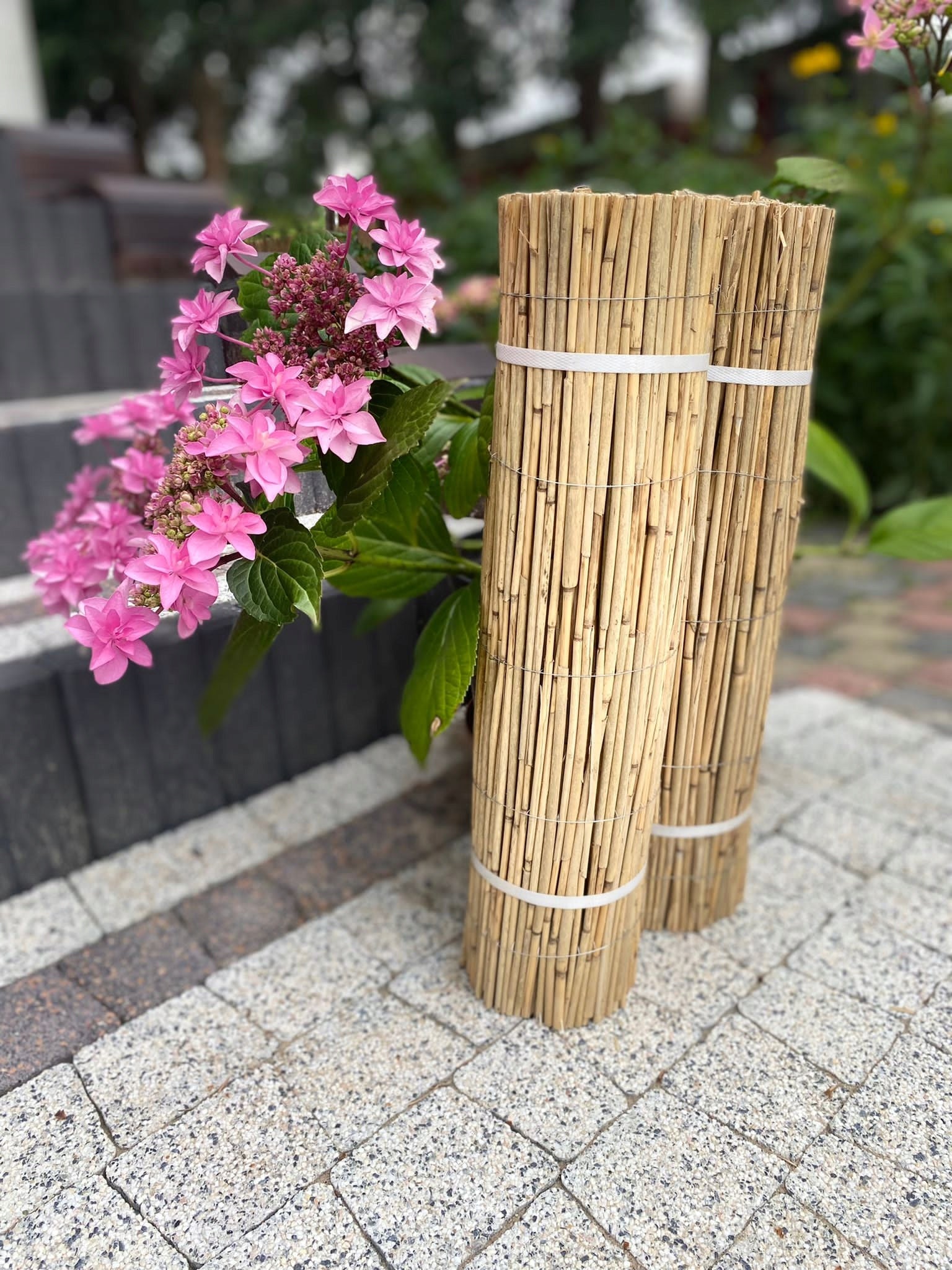 Reed mat 180 x 600 cm Reed mats 1.8 x 6 Shape rectangular