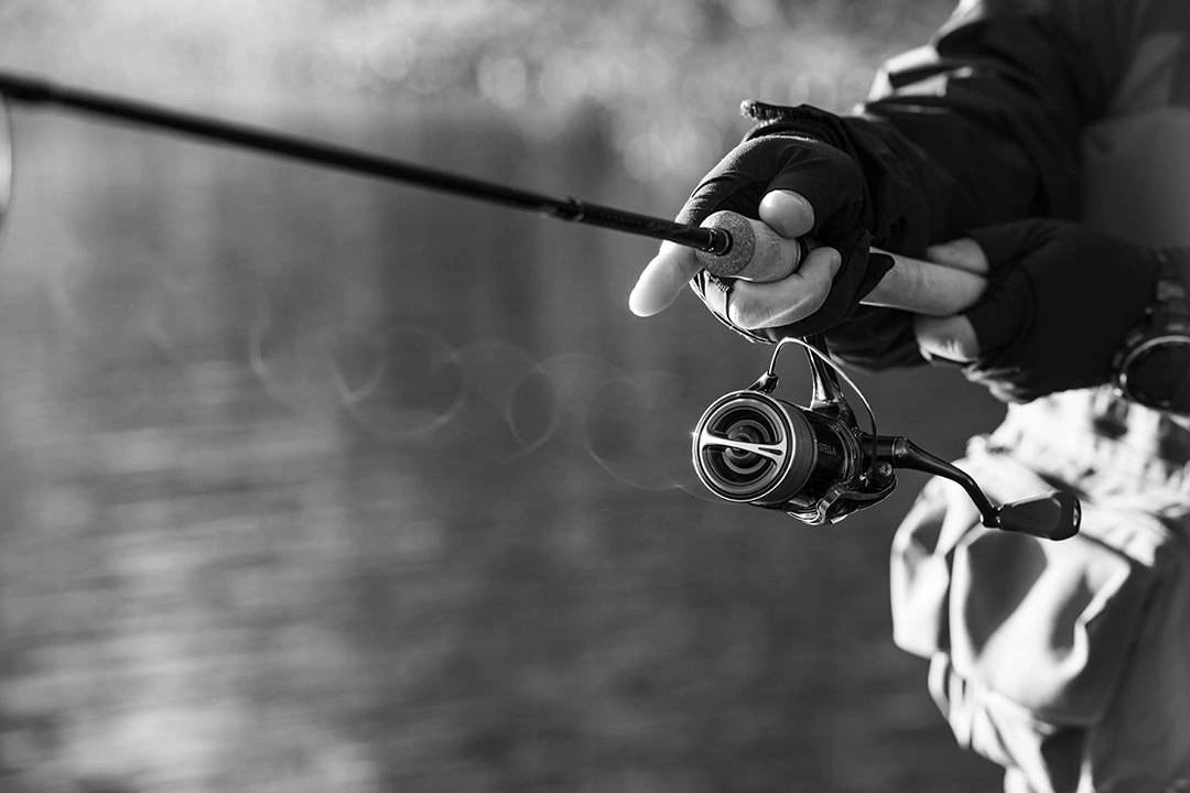 Reel Shimano Stella 4000M FK +FREEBIE!!! Gear ratio 5.1:1