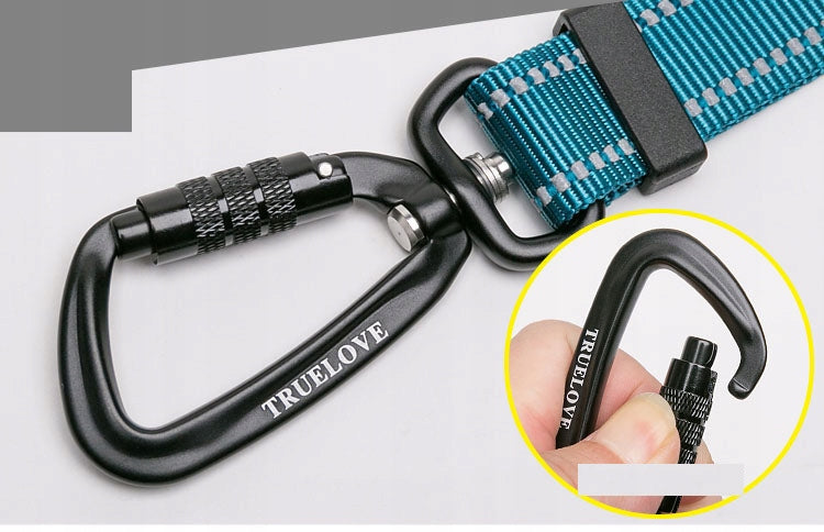 Reflective leash adjustable Truelove Urban 200 cm Manufacturer code 6970117177954