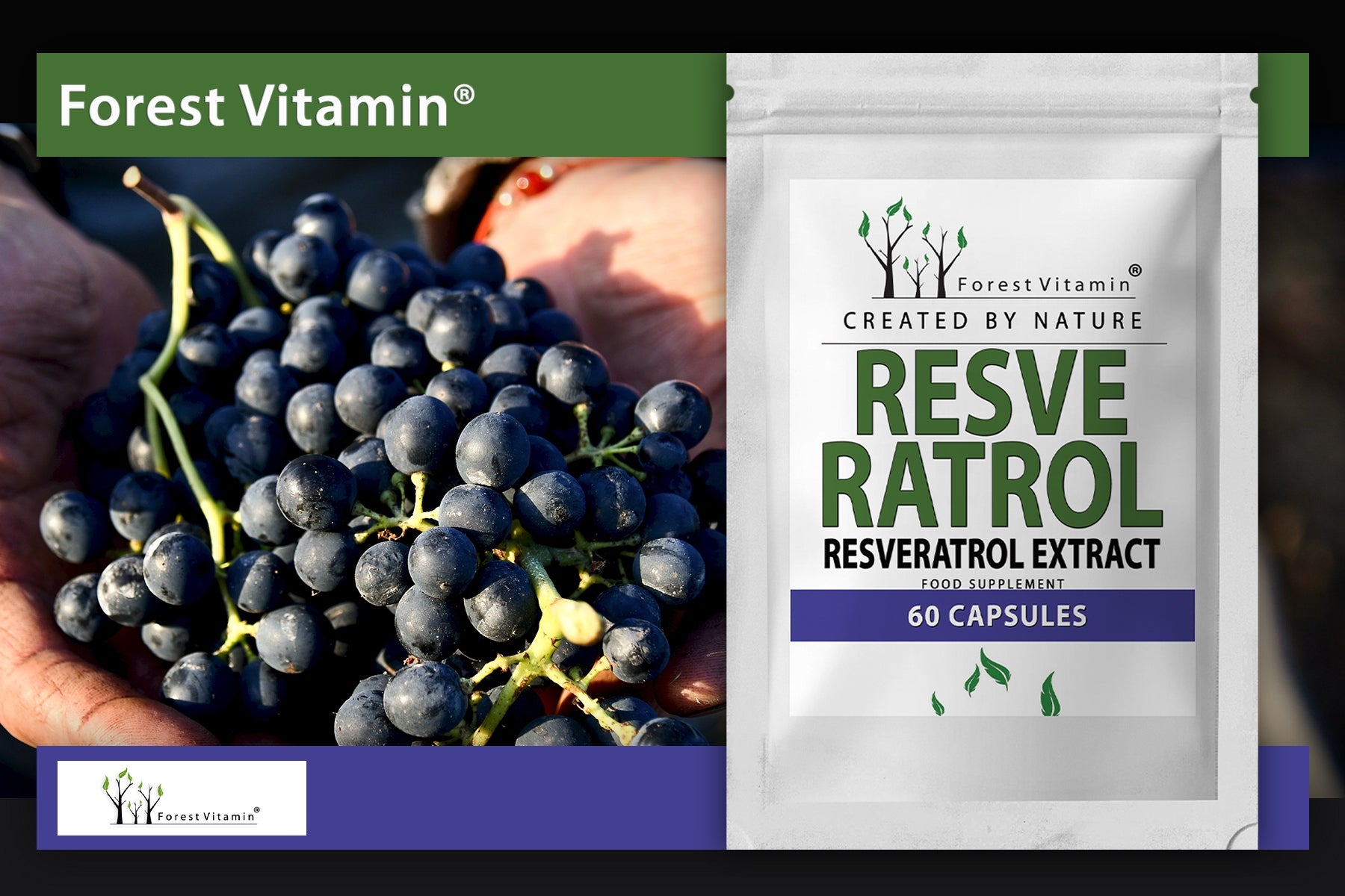 Resveratrol 60caps RESVERATROL HEART EXTRACT ANTIOXIDANT VITALITY Manufacturer code Forest Vitamin Resveratrol 60 kapsułek