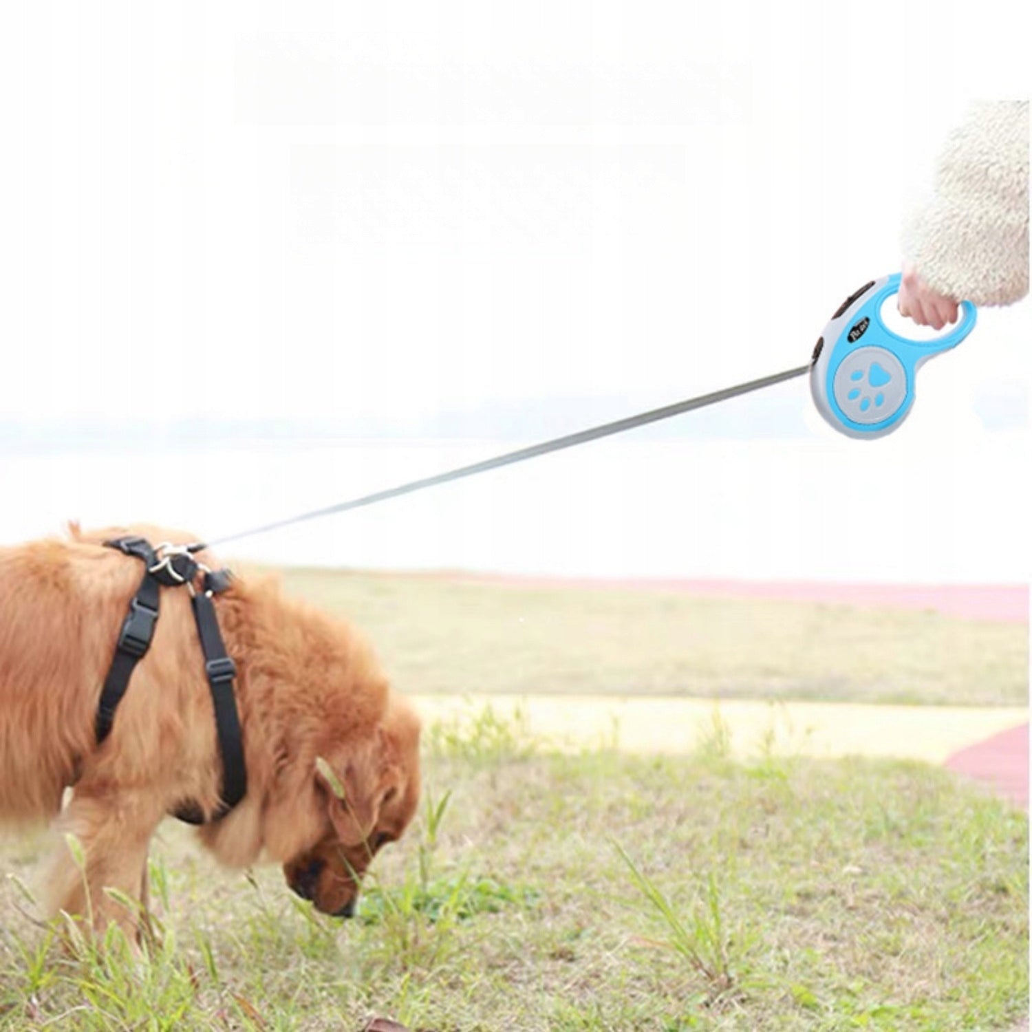 Retractable dog leash, 5m, non-slip,with break system,blue Kind automatic