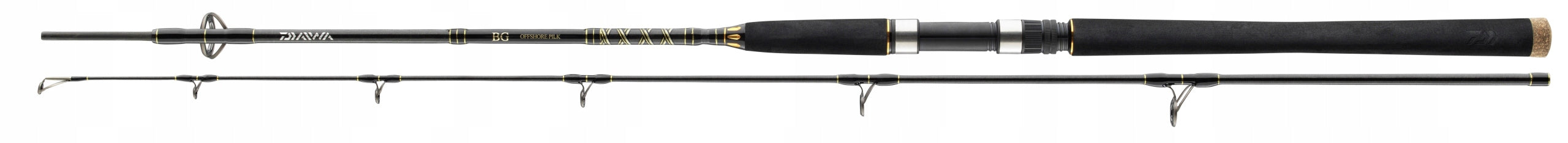 Rod Daiwa BG Offshore 2,70m 40-125g