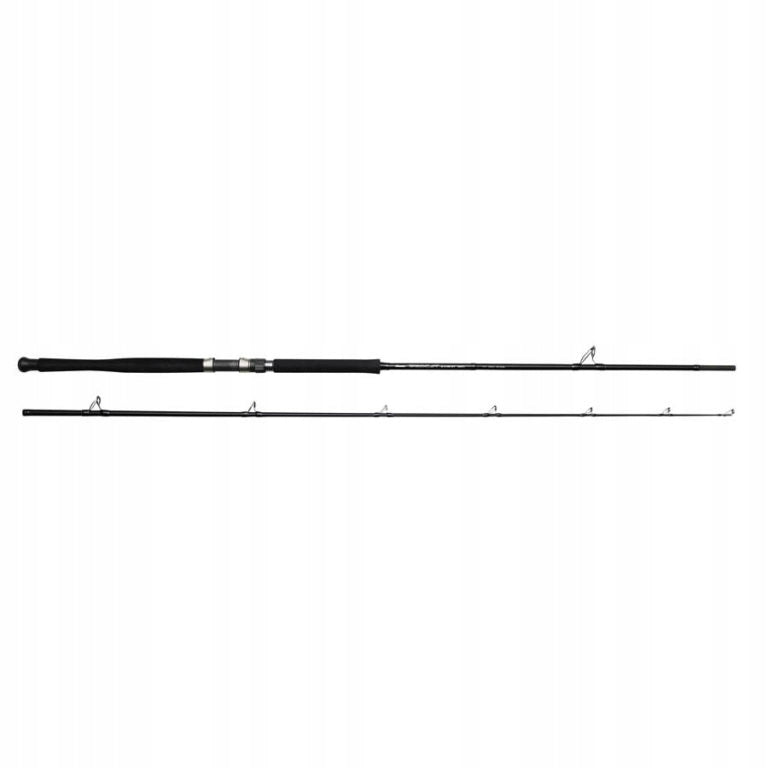 Rod Procat Expert 10.6 320cm 100-250g Okuma