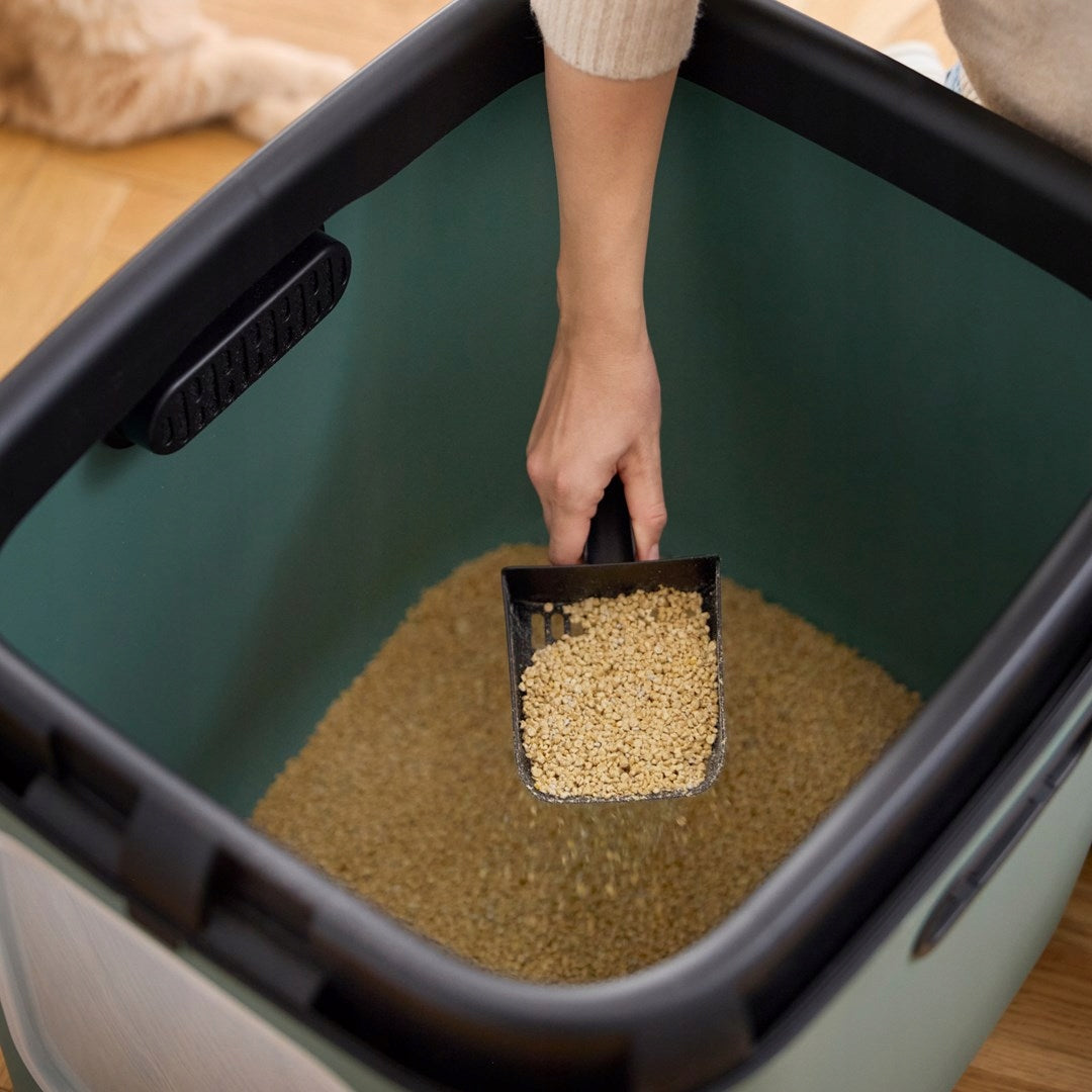 Rotho closed litter box WHITE XL 61,4 cm x 49,9 cm x 57,6 cm green Color green