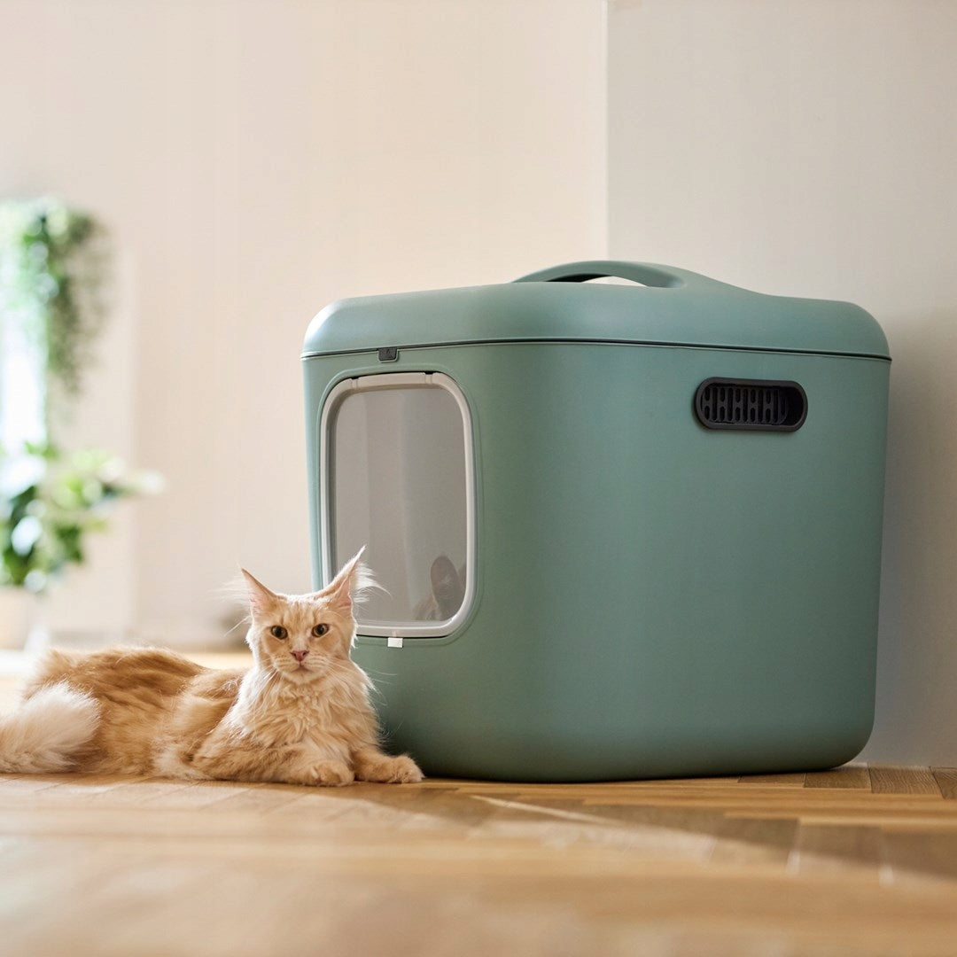 Rotho closed litter box WHITE XL 61,4 cm x 49,9 cm x 57,6 cm green Length 61.4 cm
