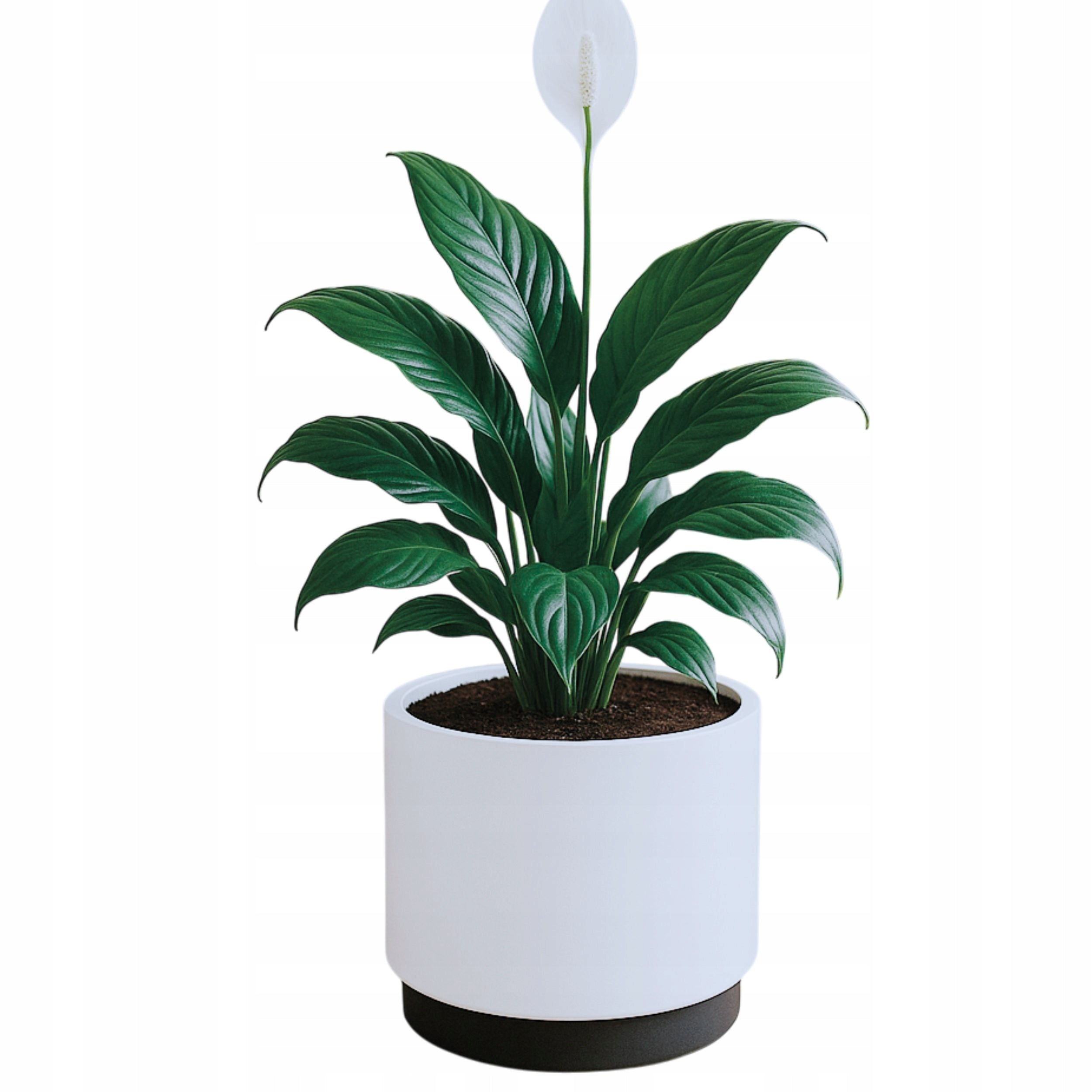 Round flower pot on wheels 40cm with insert Planter + driving stand Brand DIKEL