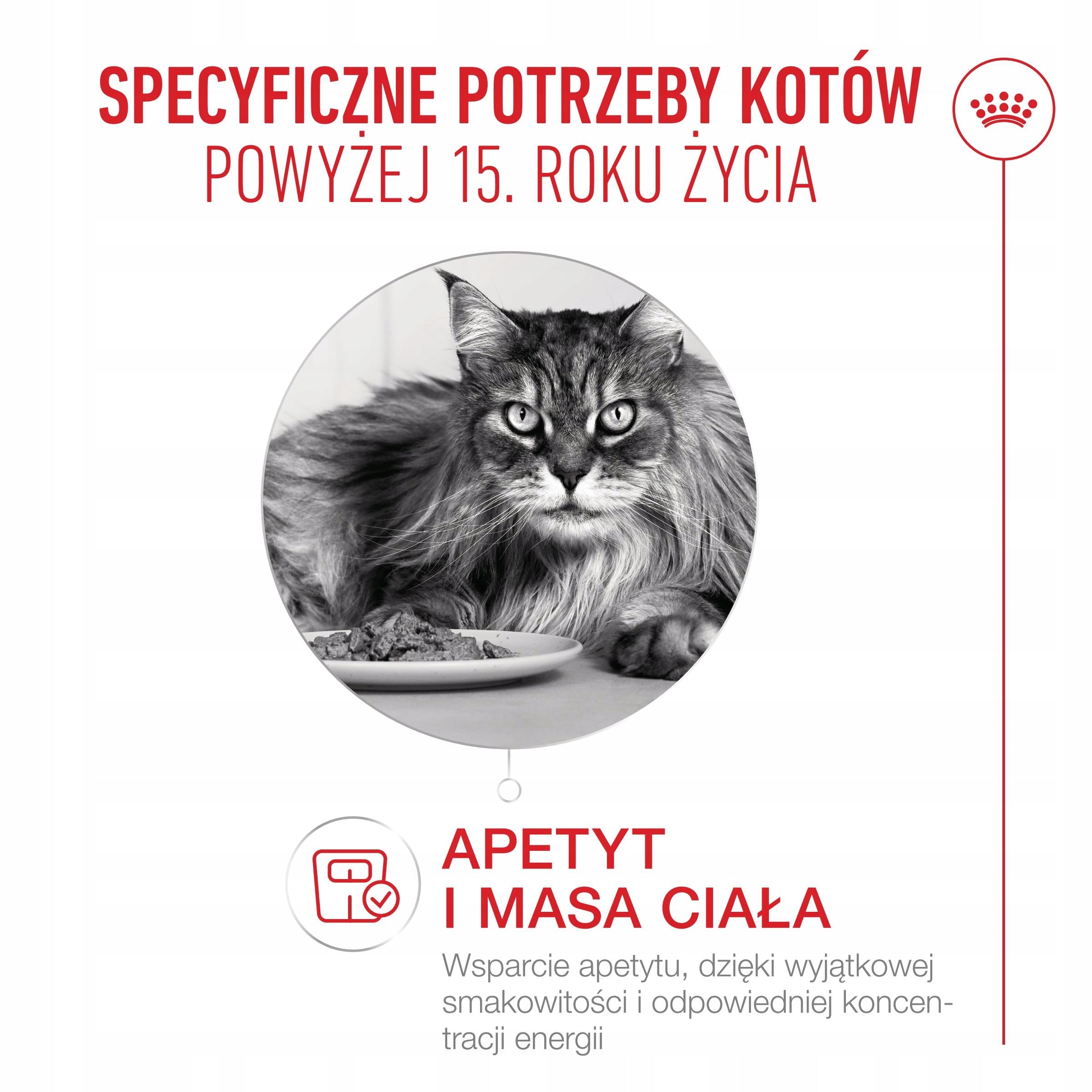 Royal Canin Ageing 15+ 4kg Brand Royal Canin