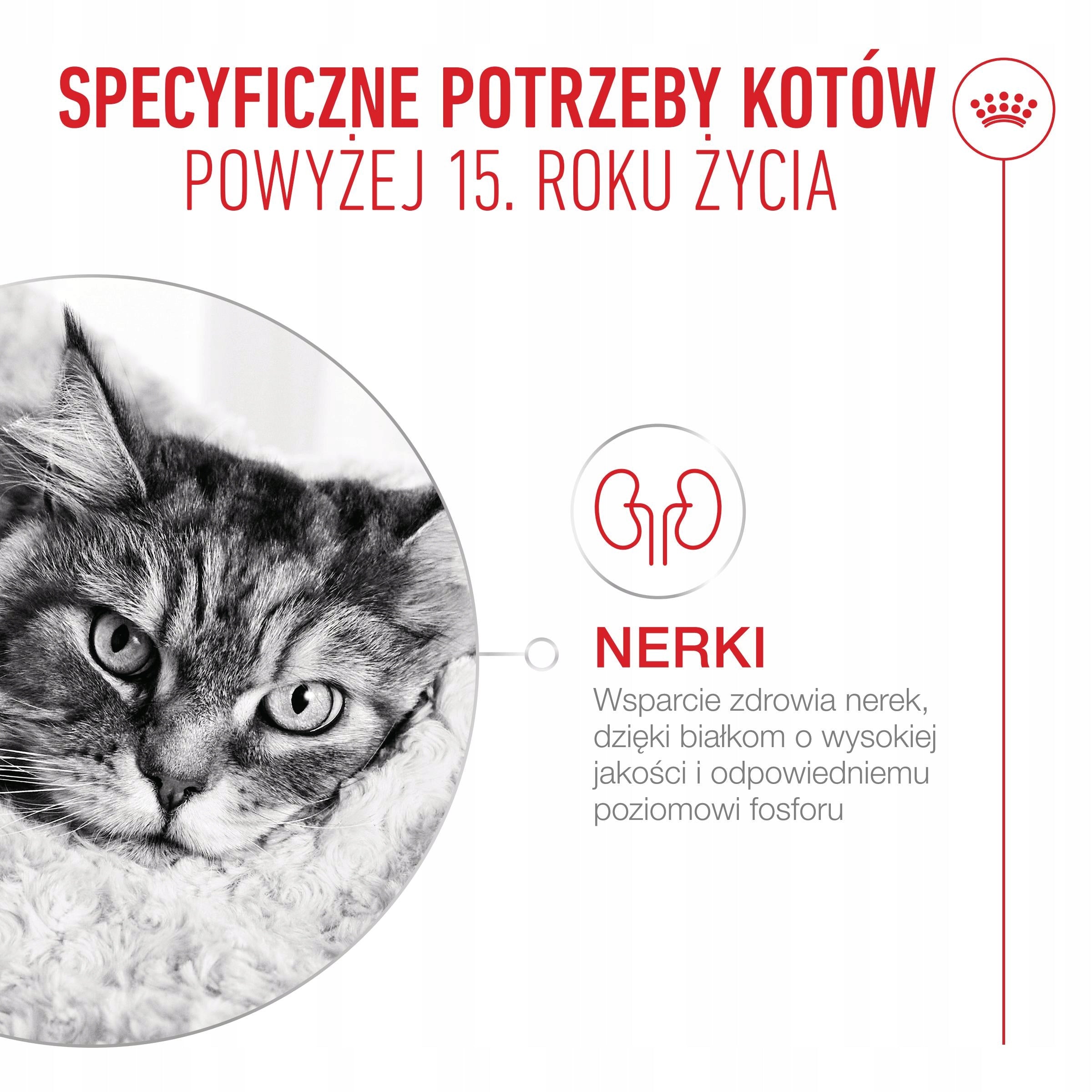 Royal Canin Ageing 15+ 4kg Product weight 4 kg