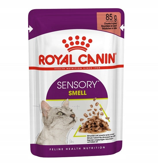Royal Canin FHN Sensory Smell 85g wet food in sauce for picky cats