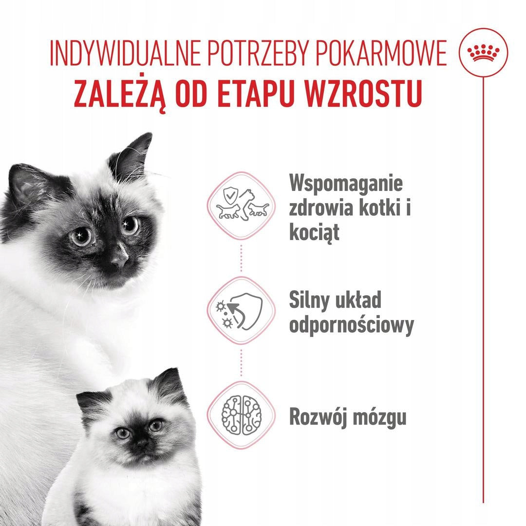 Royal Canin Mother Babycat 2kg Dry Pregnancy Cat Lactation Brand Royal Canin