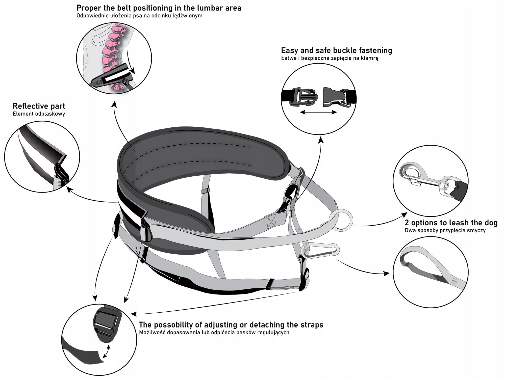 Running set with dog: belt + leash black with shock absorber Kind for jogging