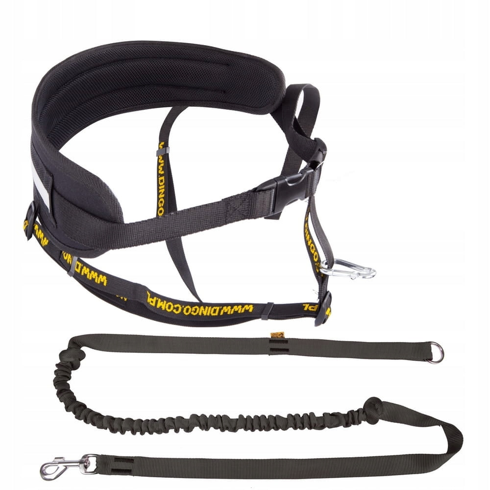 Running set with dog: belt + leash black with shock absorber