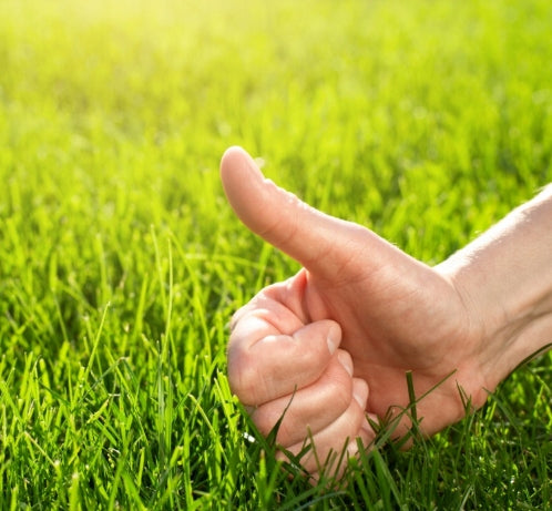 S-POL FERTILIZER LAWN 25kg FOR GRASS COMPACT COLORING TURF STRENGTHENING Manufacturer Siarkopol