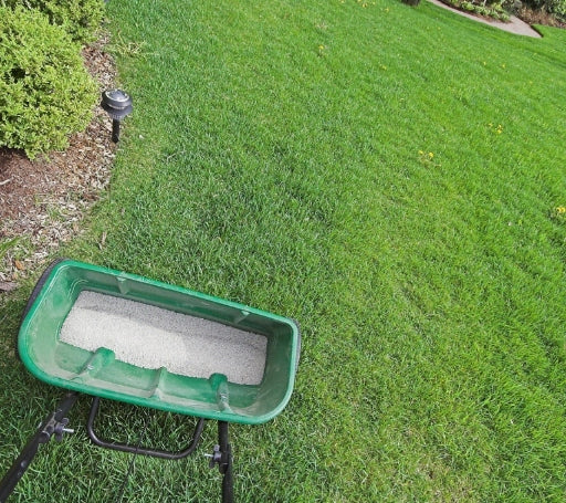 S-POL FERTILIZER LAWN 25kg FOR GRASS COMPACT COLORING TURF STRENGTHENING Weight 25 kg