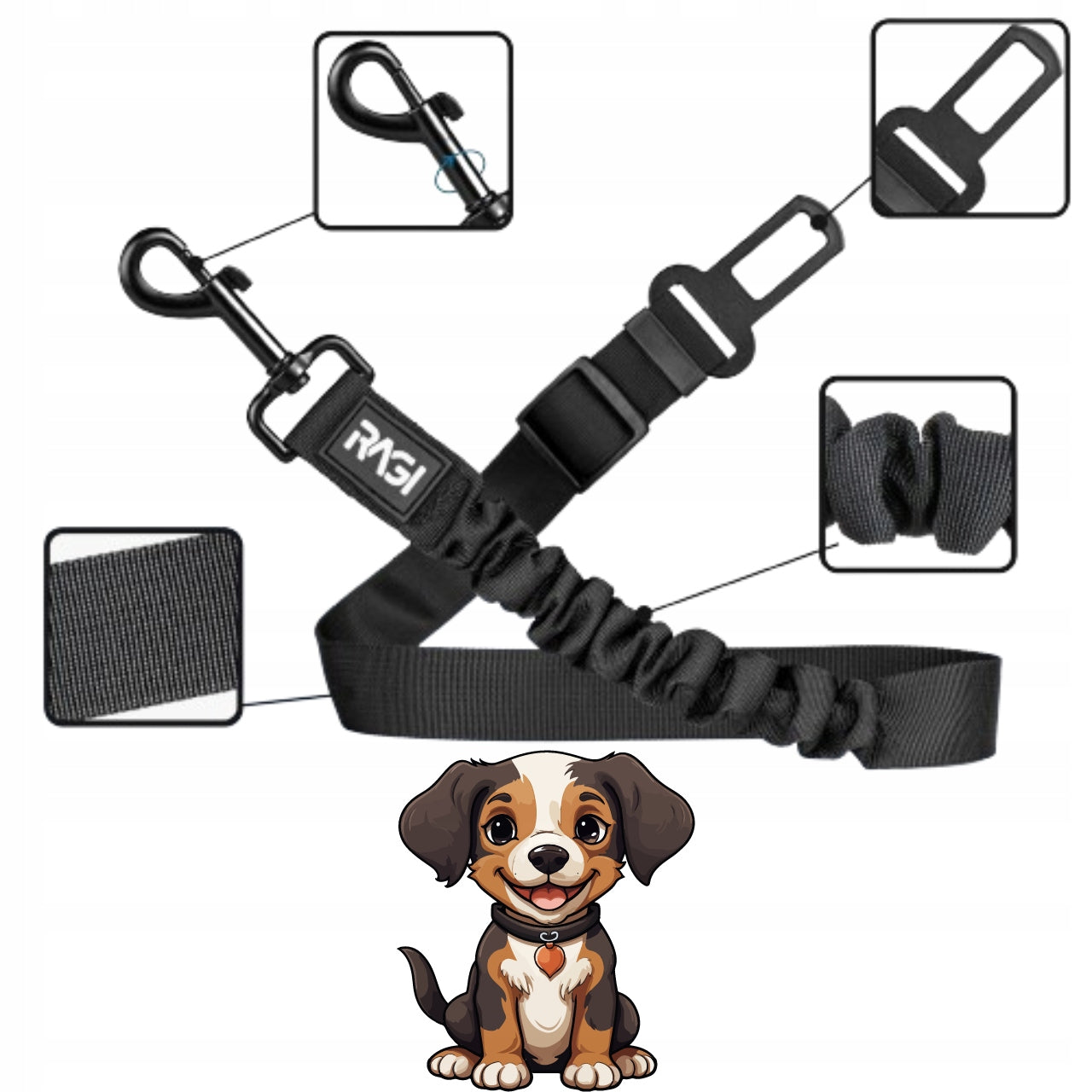 SAFETY BELTS DOG CAR LEASH ON THE JOURNEY OF RAGA TO THE CAR