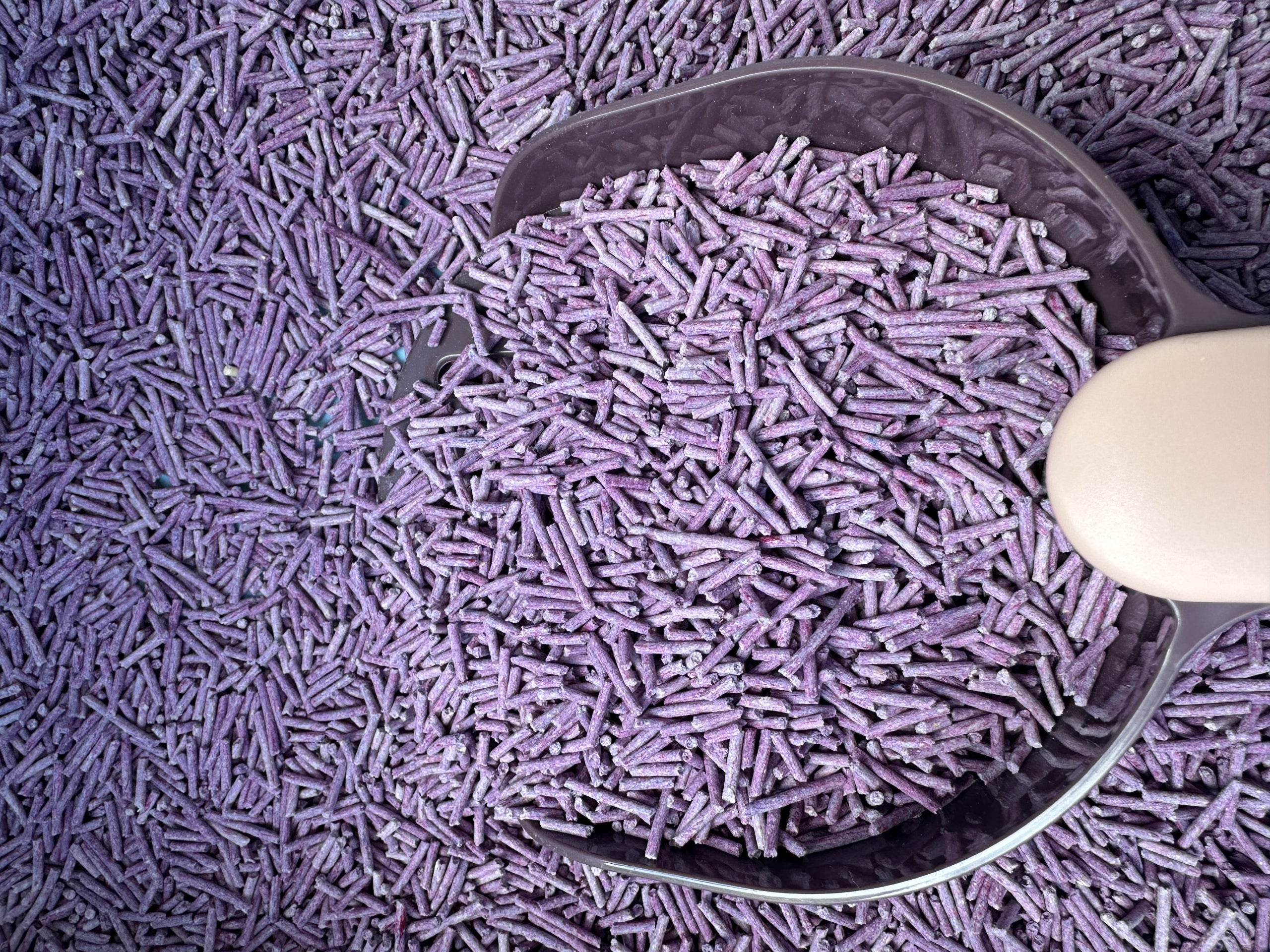 SAGAPO Organic Clumping Premium Cat Tofu Litter LAVENDER 2,5kg Kind tofu